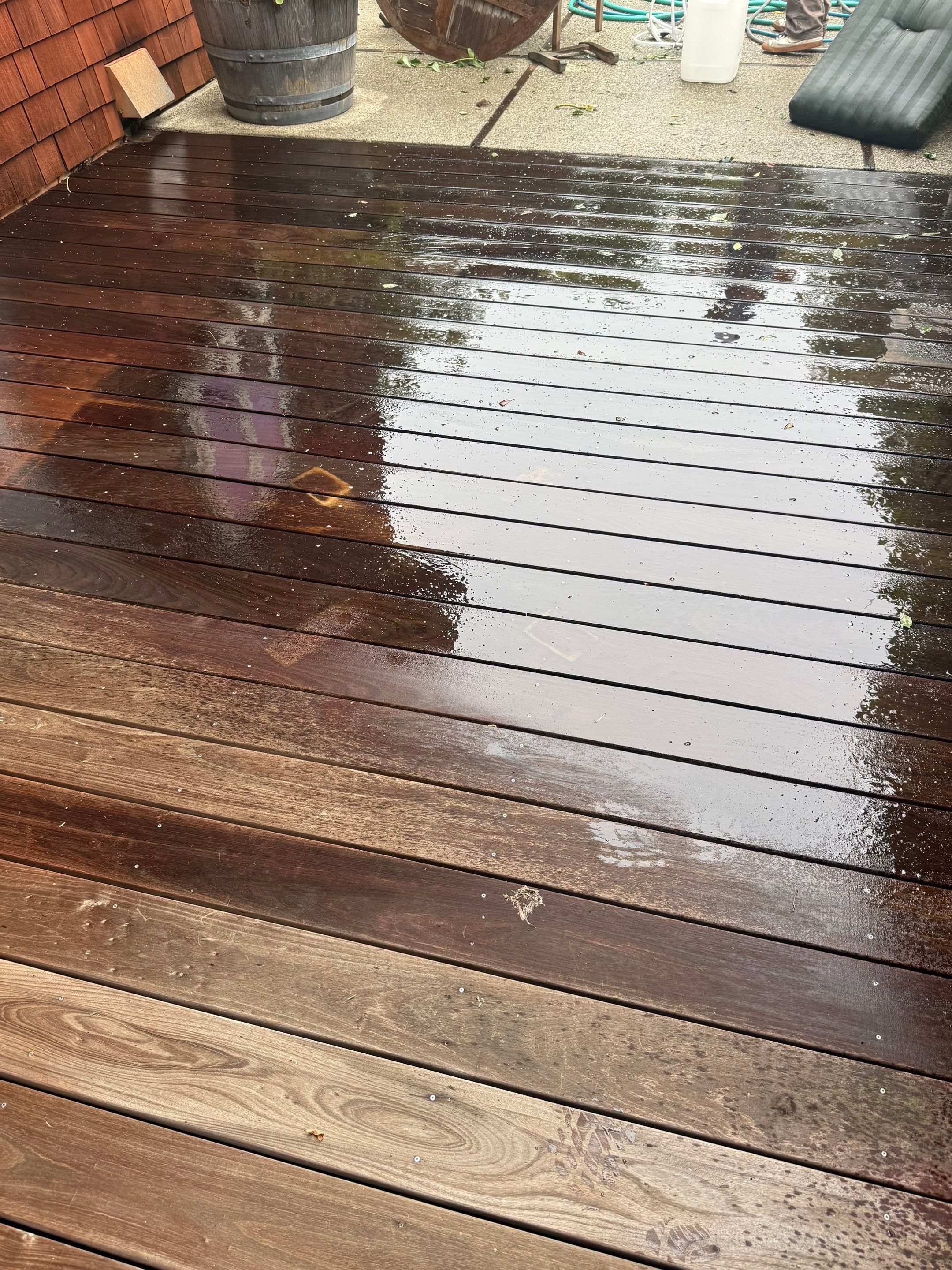 Full back garden refresh by SpotFree Window Cleaning