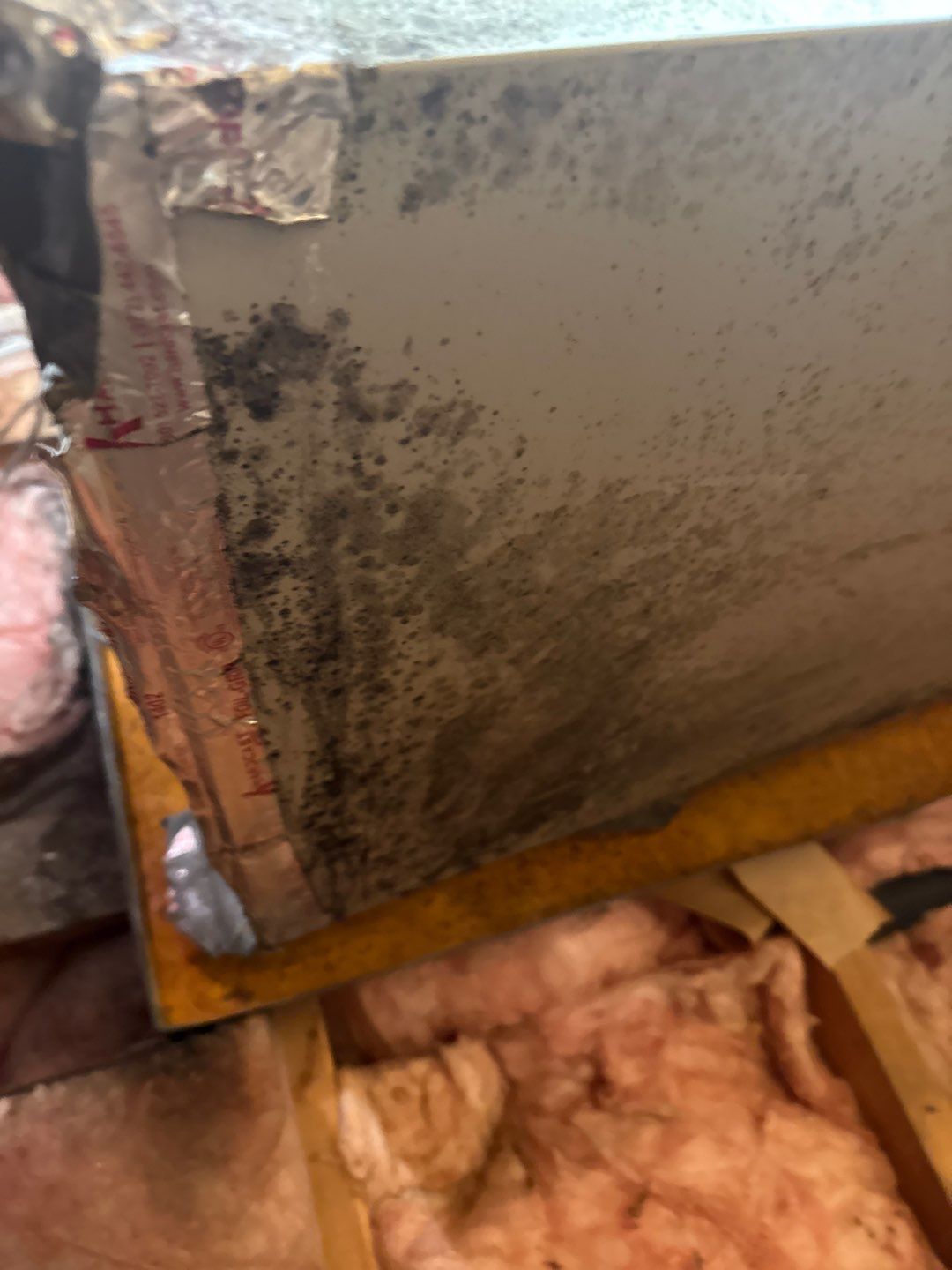 Mold in Air Ducts Remediation by Healthy Home Solutions