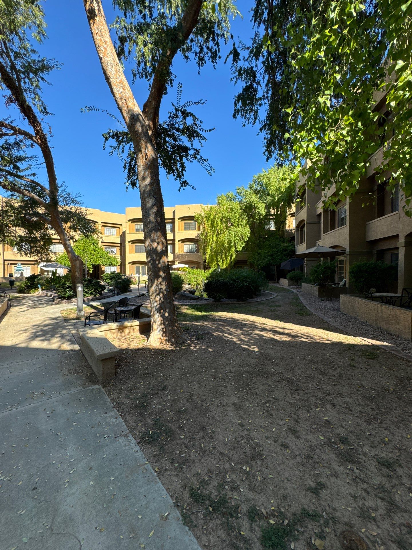 Project in Glendale by Crush Development Services LLC