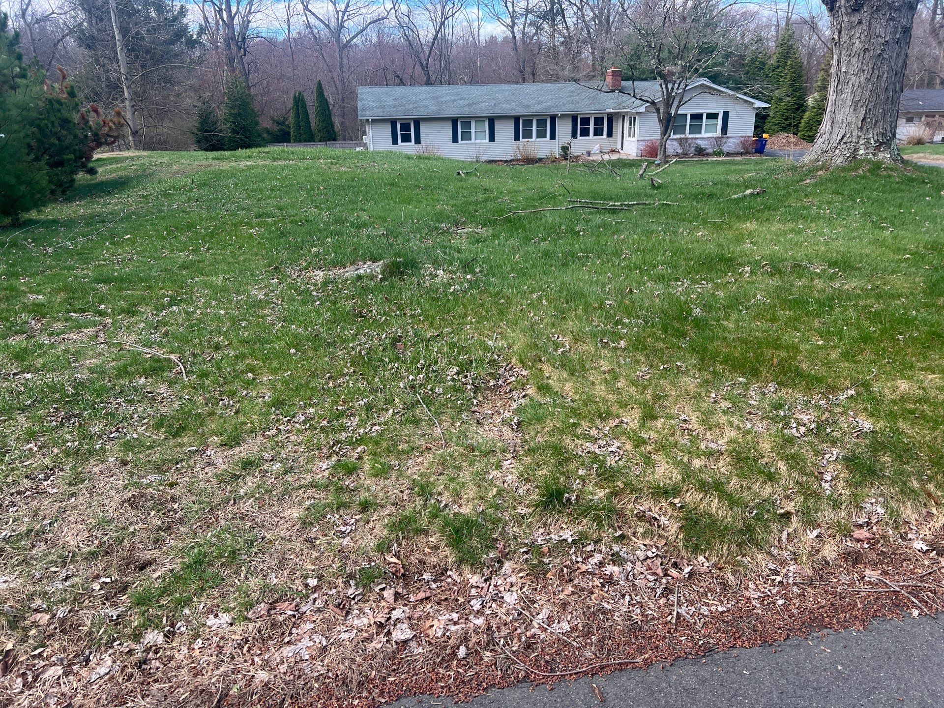 Comprehensive Spring Property Cleanup and Garden Bed Mulching in Orange by Diamond Image LLC