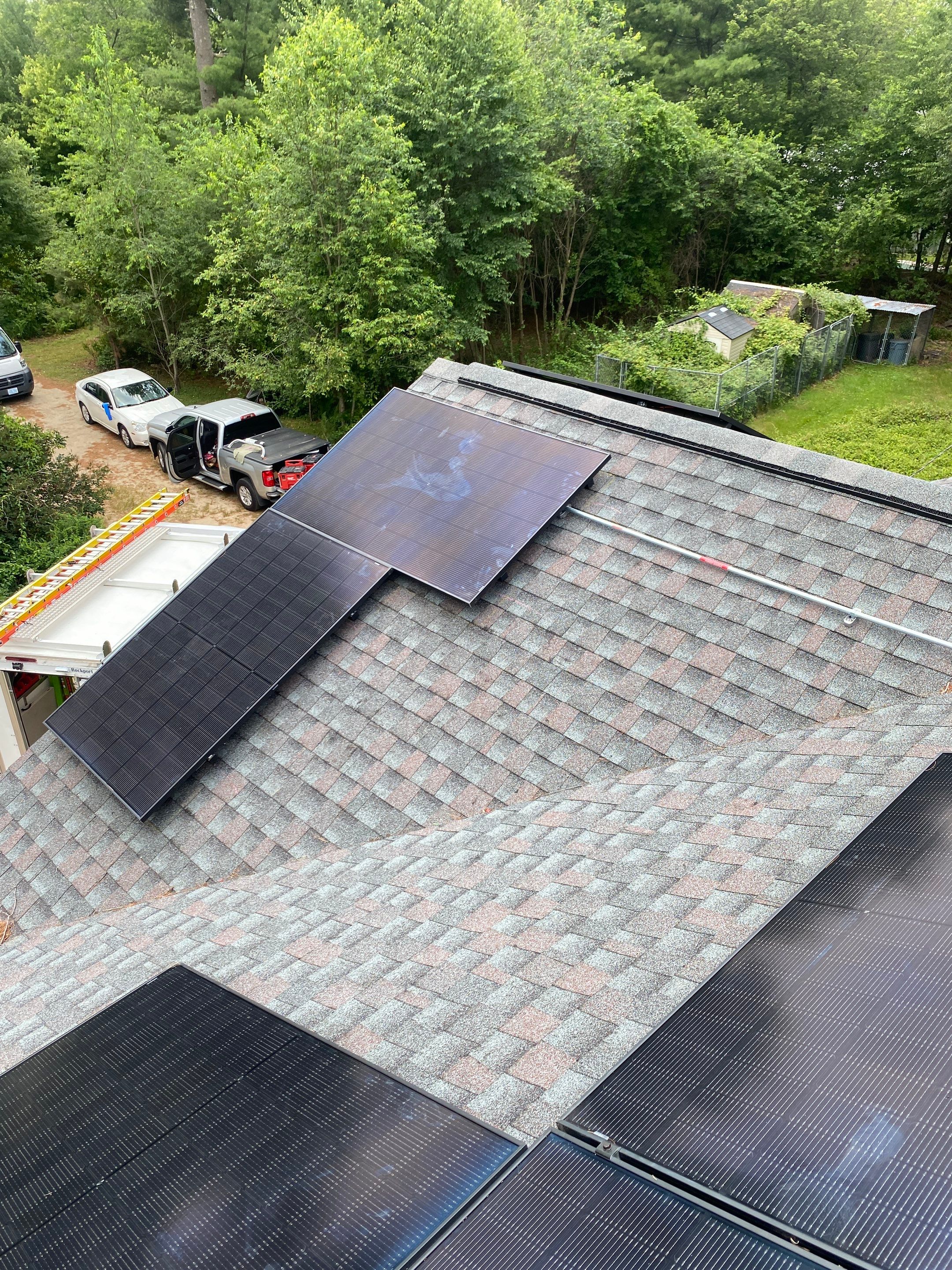 Cynthia D. by OneGrid