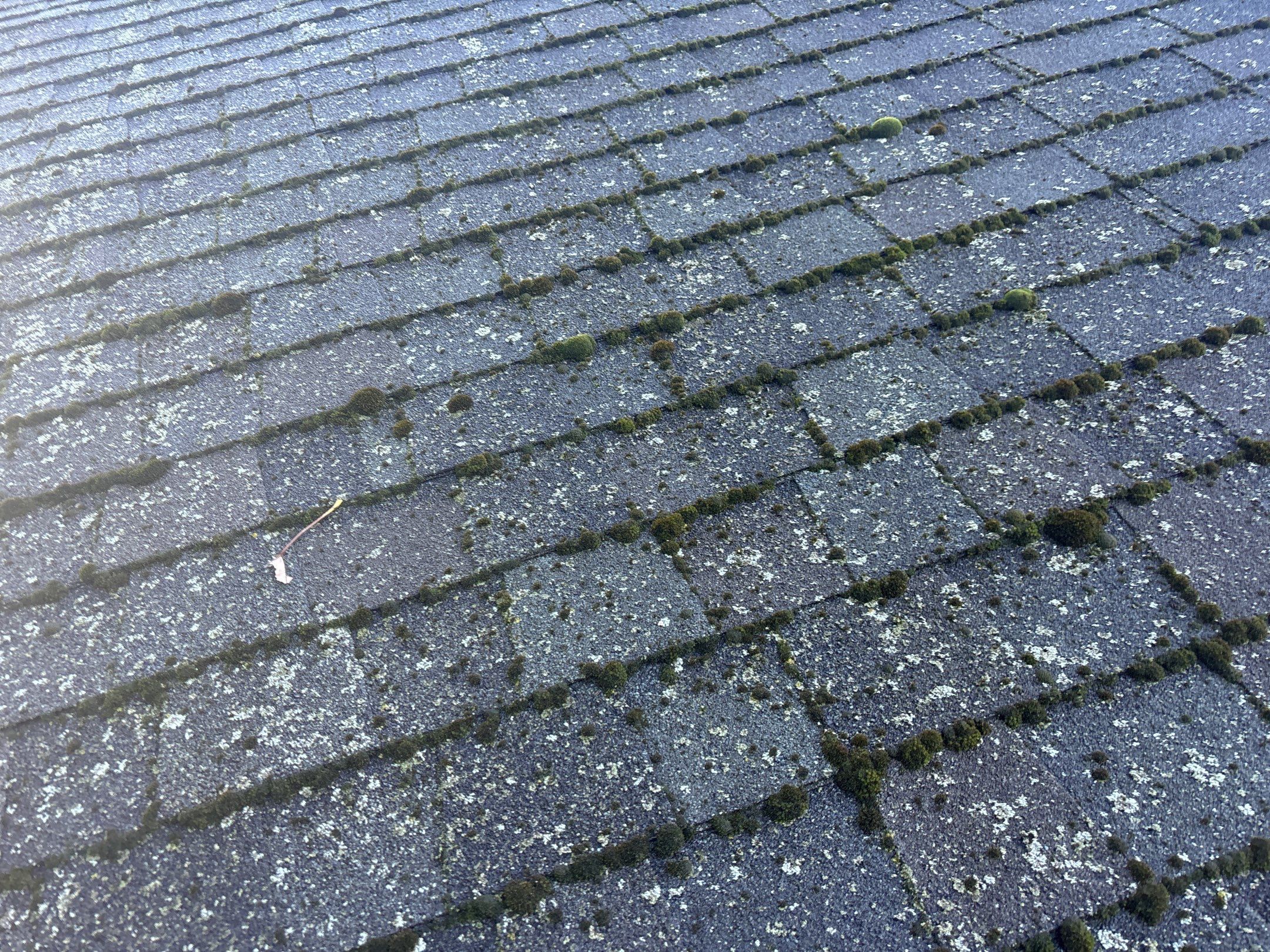 Roof Replacement using Certainteed Landmark Climate-Flex by 180 Contractors