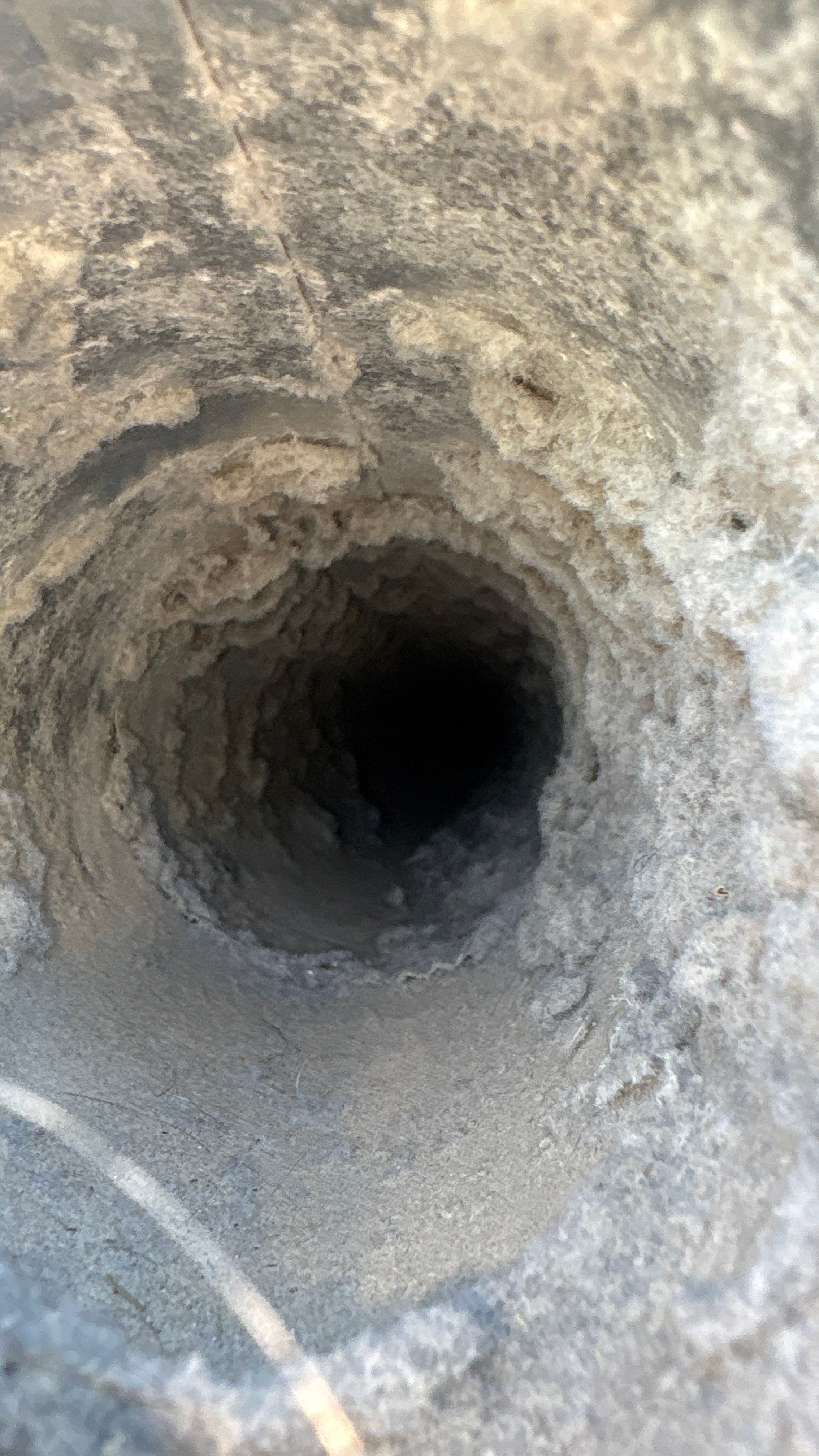 Dryer Vent Cleaning in Wexford, PA by Superior Air Duct Cleaning