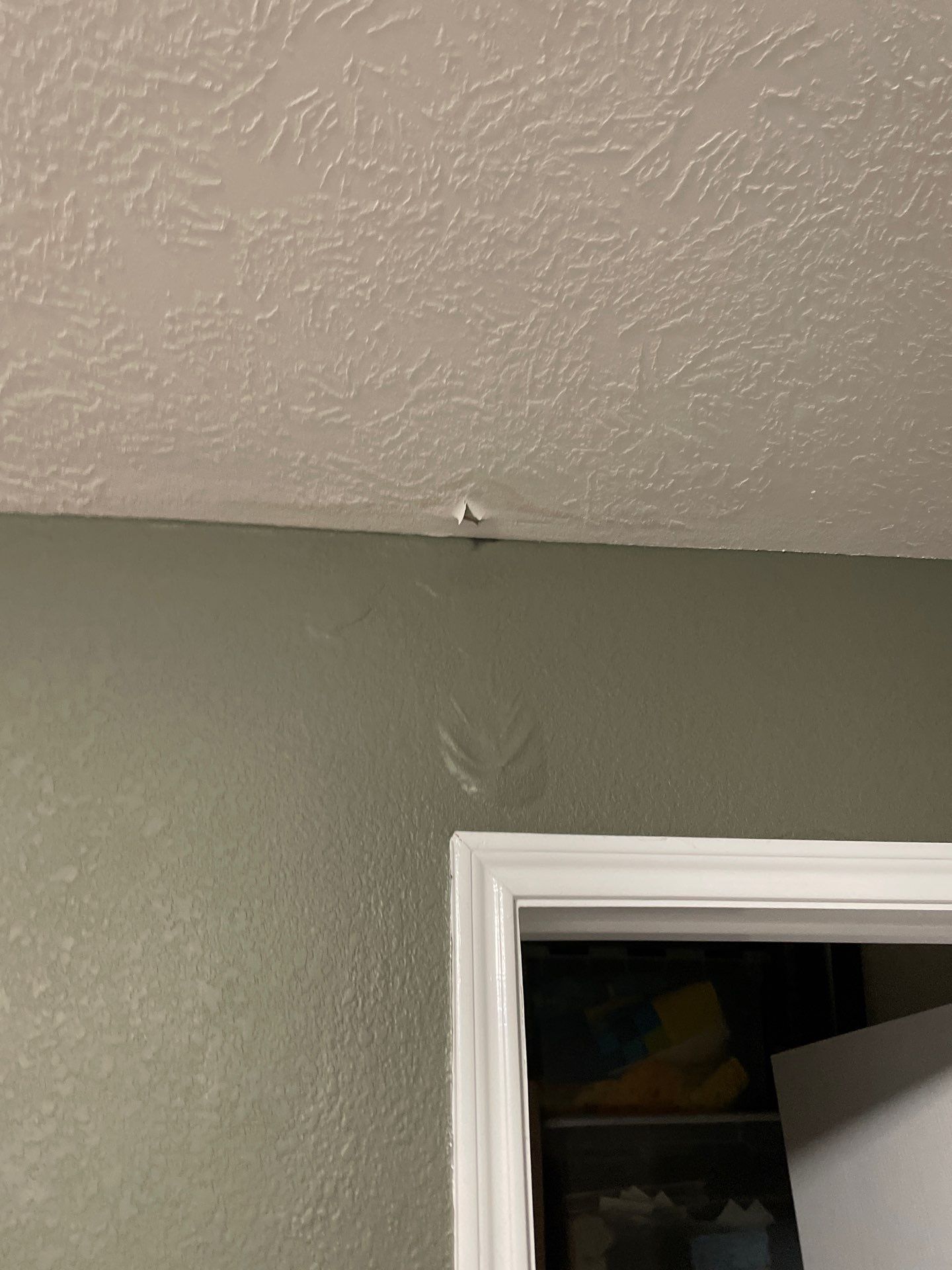 Hail Damage using Owen's Corning Duration (Lifetime) Shingles by Roof Repair Company