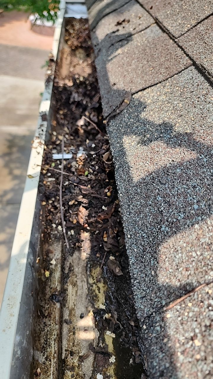 House Wash using cleaner by Power Wash Masters LLC