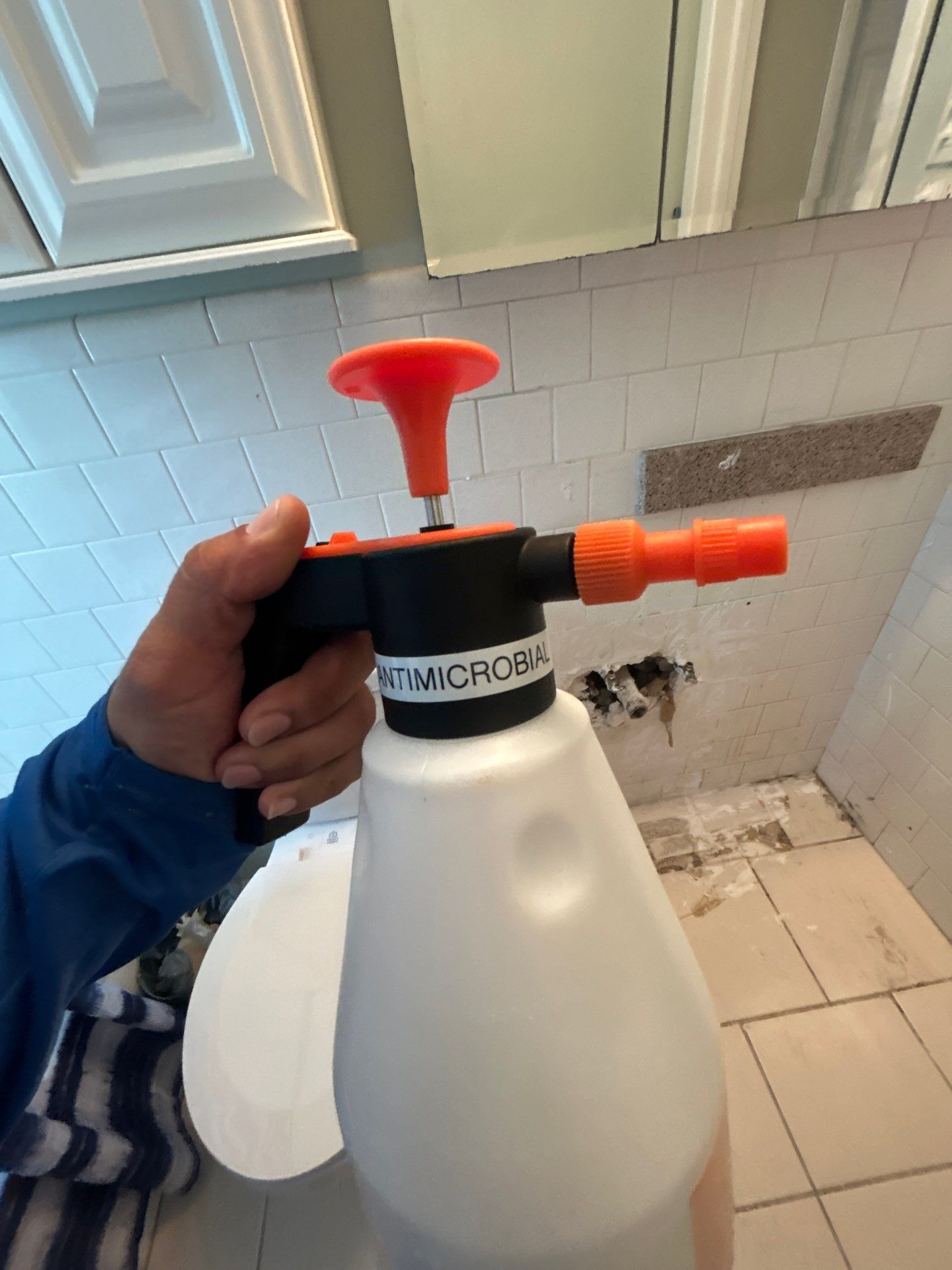 Mold Inspection & Removal by Ampm Restoration Services