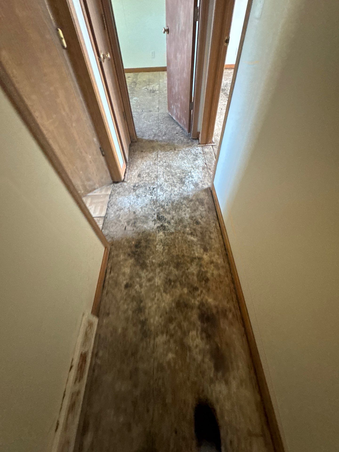 Project in Richmond by EzDry Water Mitigation & Property Restoration