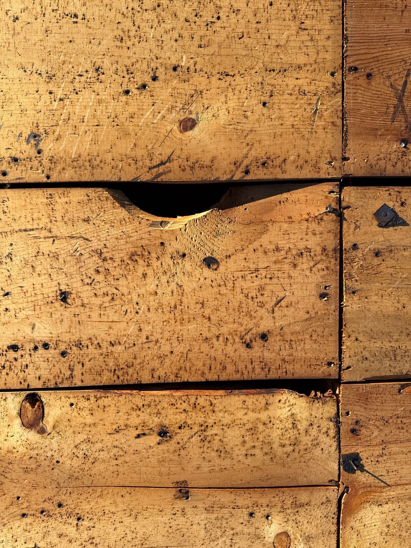 Project in Mulberry by You Restorations LLC DBA YOU-Home