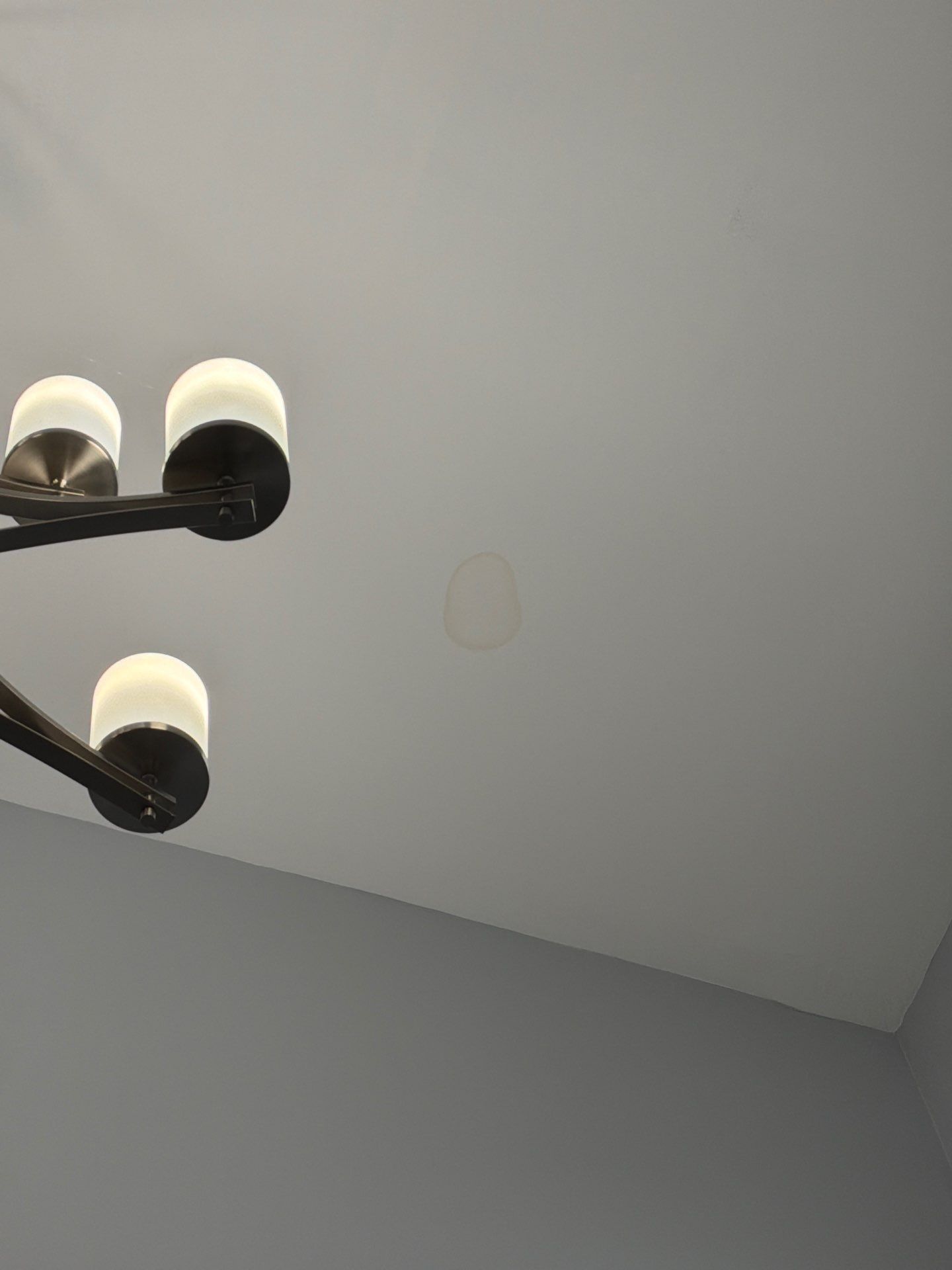 Interior Ceiling Painting & Targeted Repairs by Praise God Painting, LLC