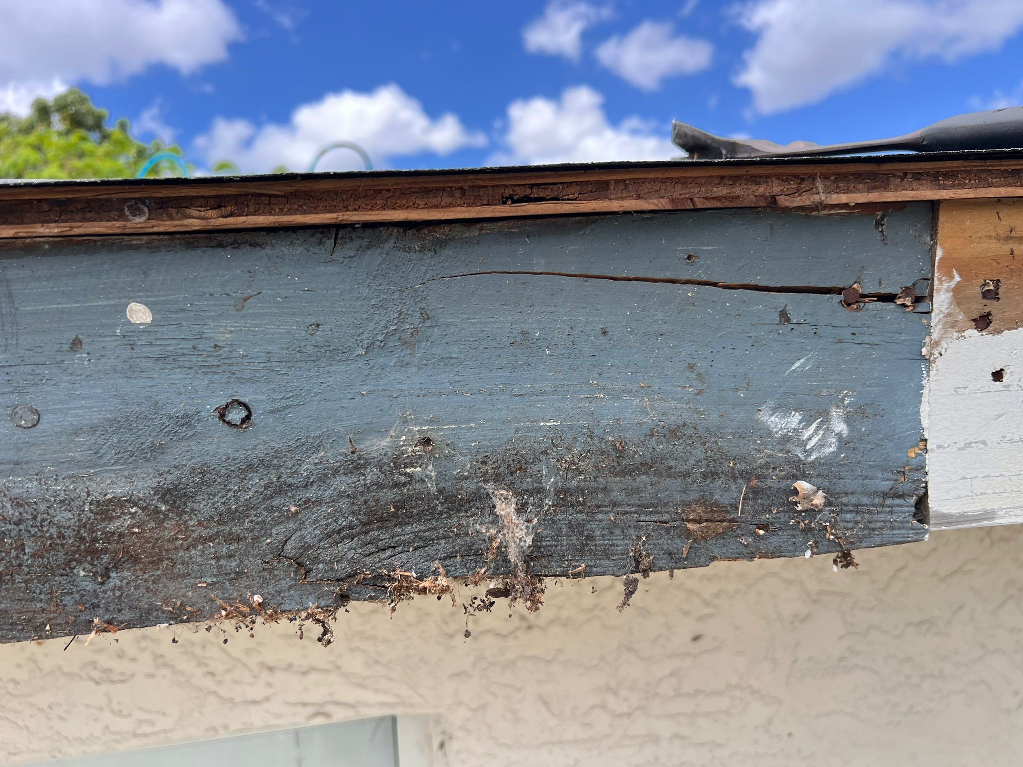 Project in Pinellas Park 33782 by Mitchell Roofing Company LLC 
