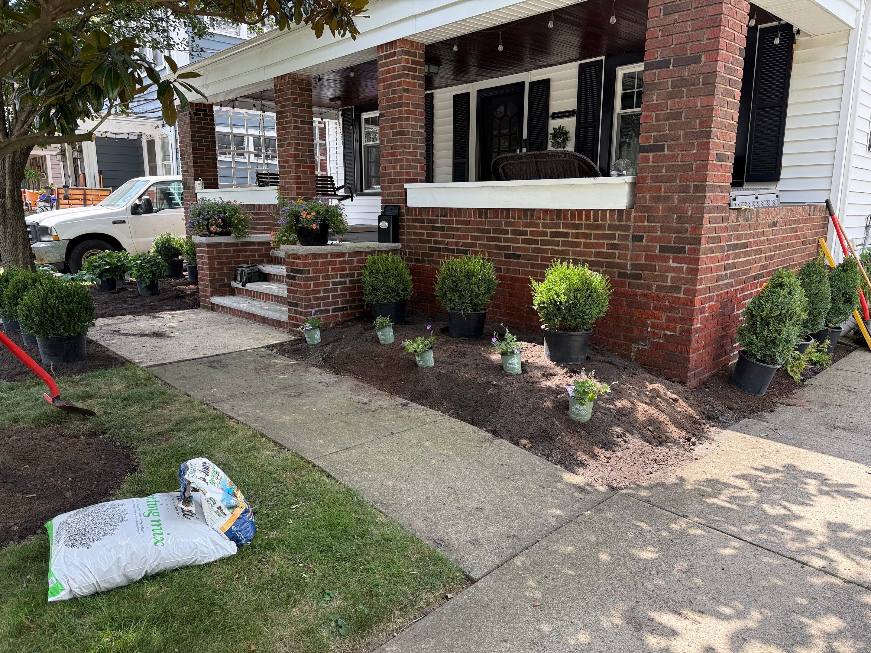 Modern Magnolia Project by Elm Rose Gardens