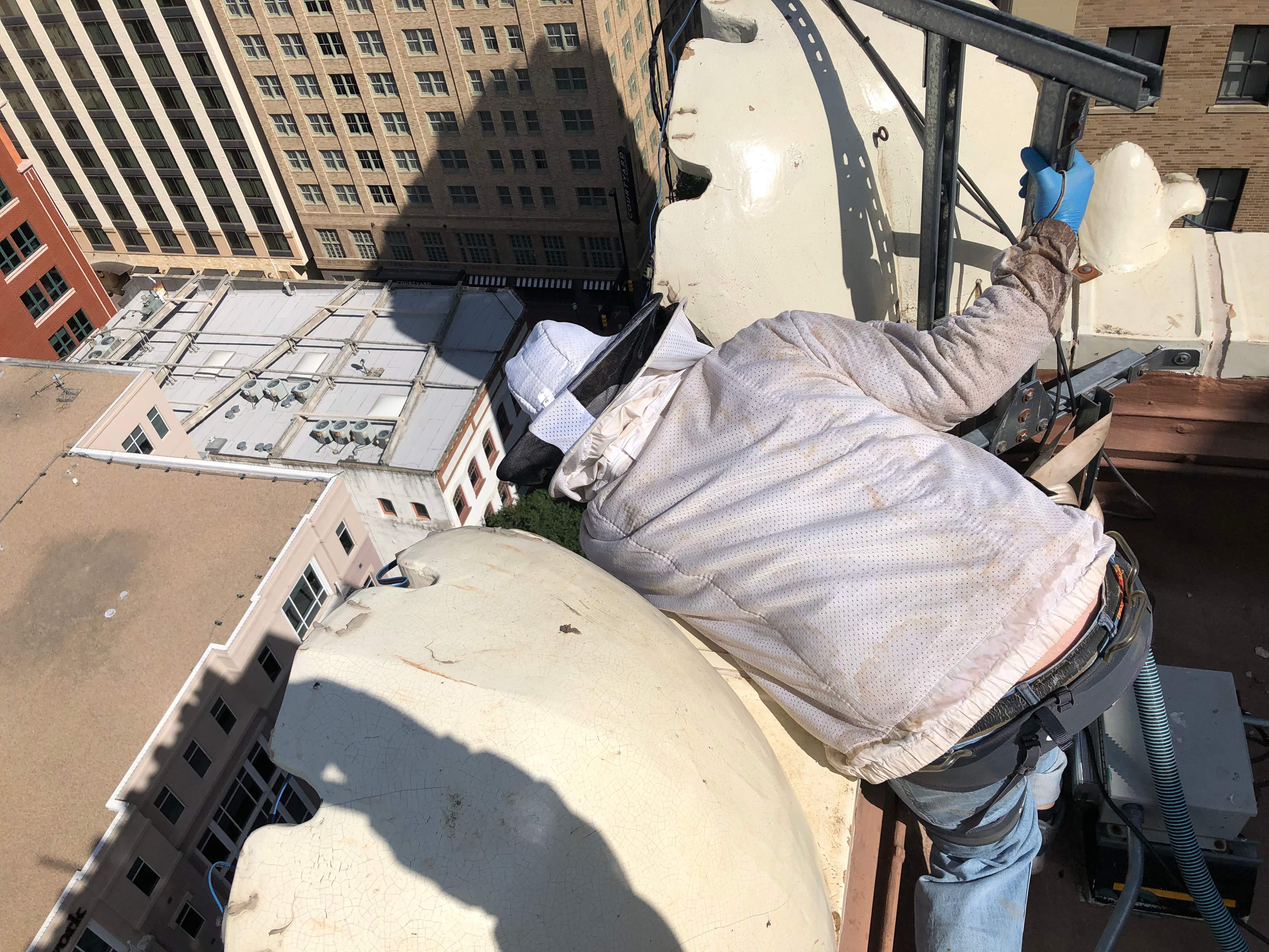 Downtown Highrise by Rockwall Honey Bee Company