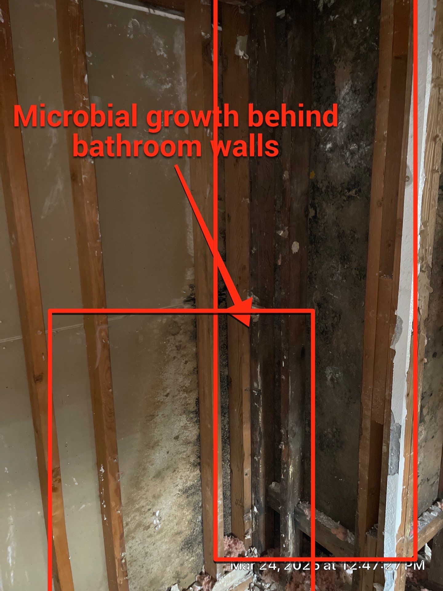 Project in Fresno  by 911 Hazmat Cleanup 