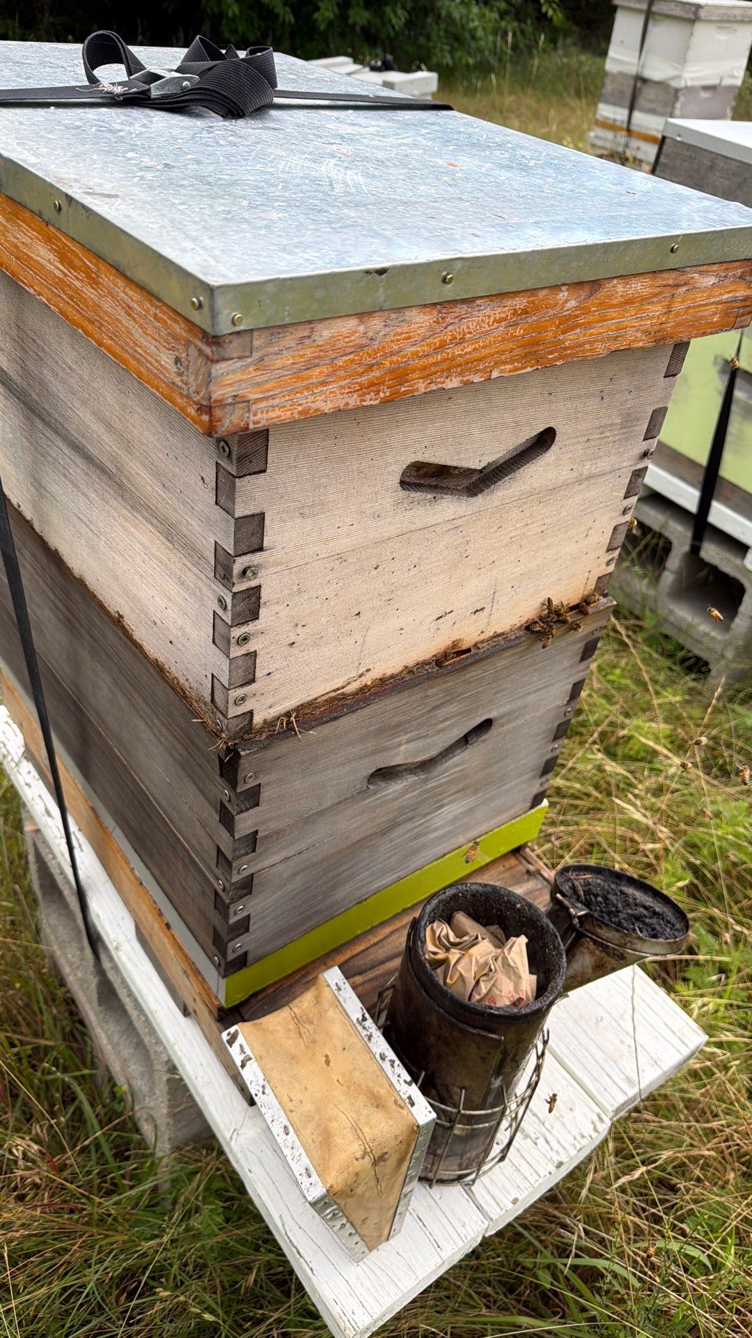 Bees for Ag. Exemption in Heath by Rockwall Honey Bee Company