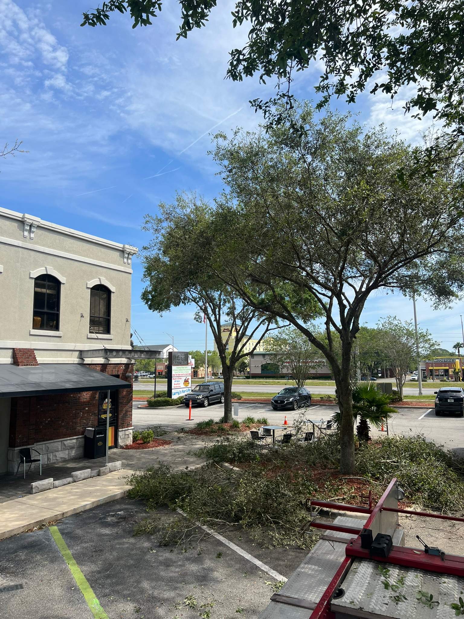 Tree Trimming | Larry's Giant Subs by ProGreen Services