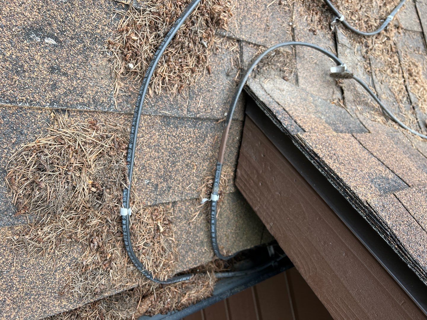 GAF Timberline HDZ - Hunter Green by Montana Roofing Solutions