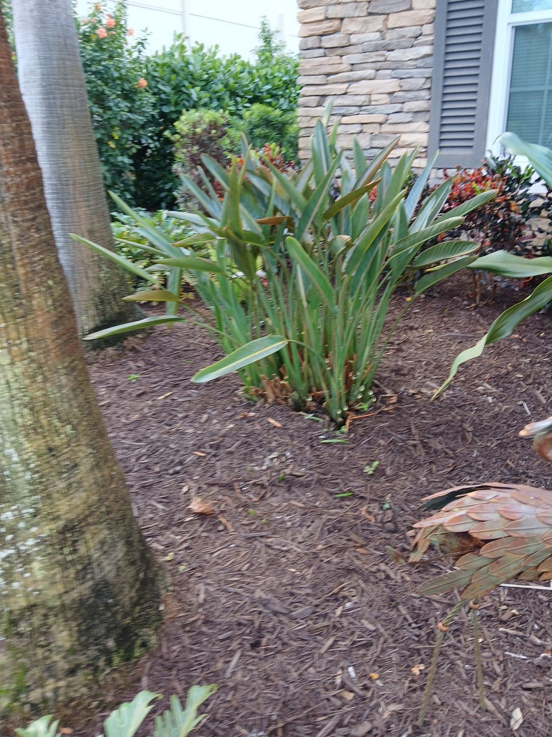 🌿✨ “Snip, Tip & Total Plant Care Bliss” in Palm City ✨🌿 by Alpha Zeta Enterprises Inc