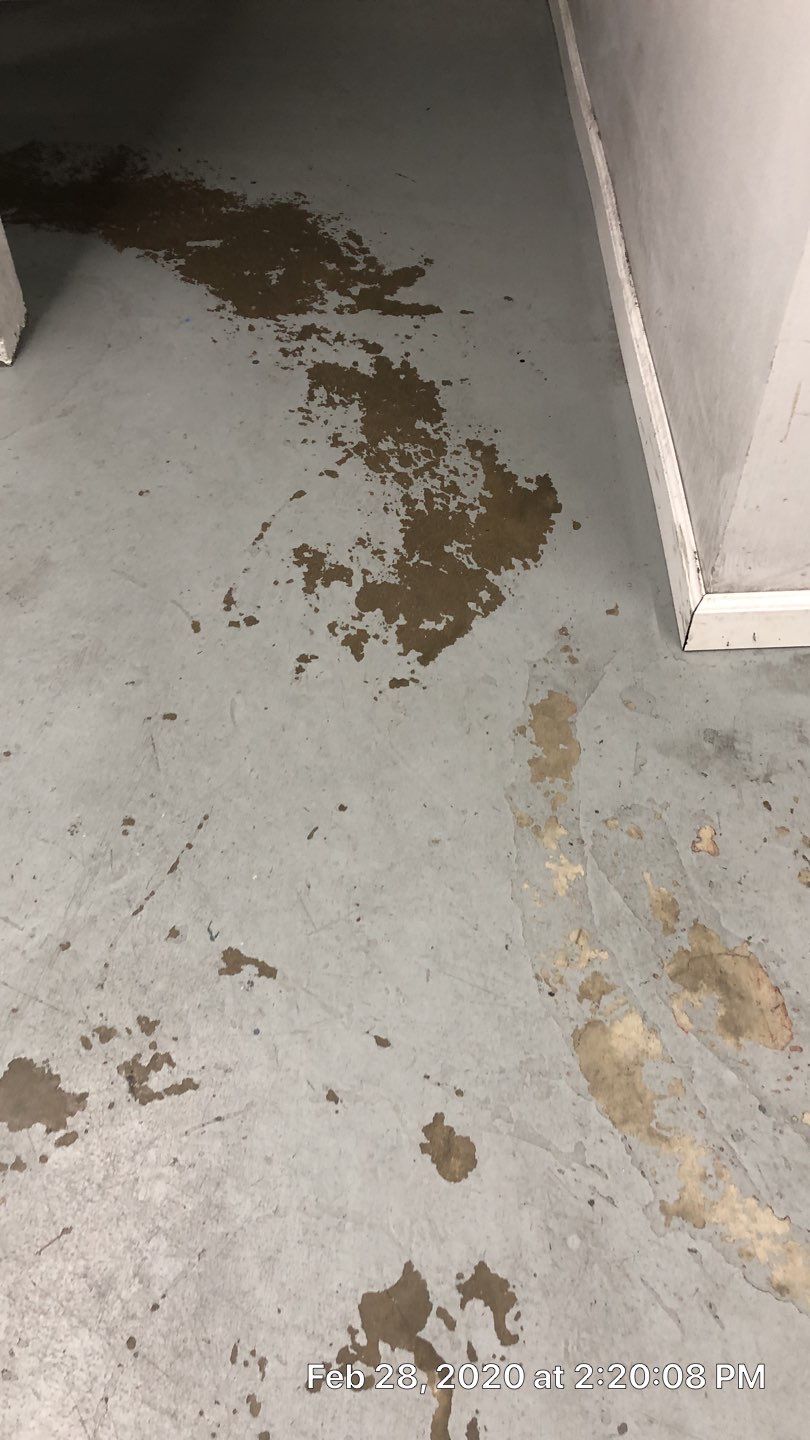 Garage Floor – Flint by Your1DayFloor.com