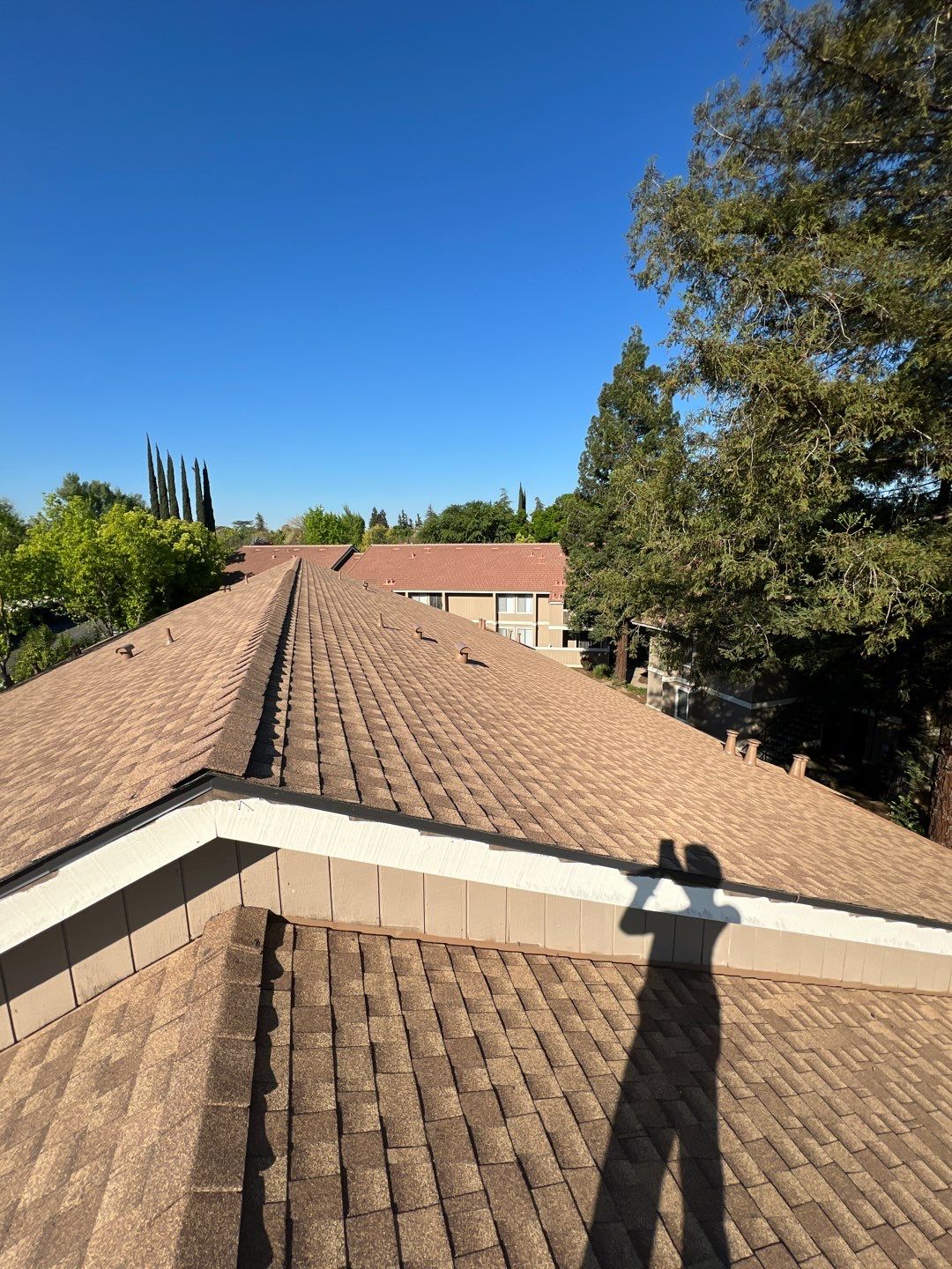 Removed tile from roof and replaced with shingles by Straight Edge Roofing Inc