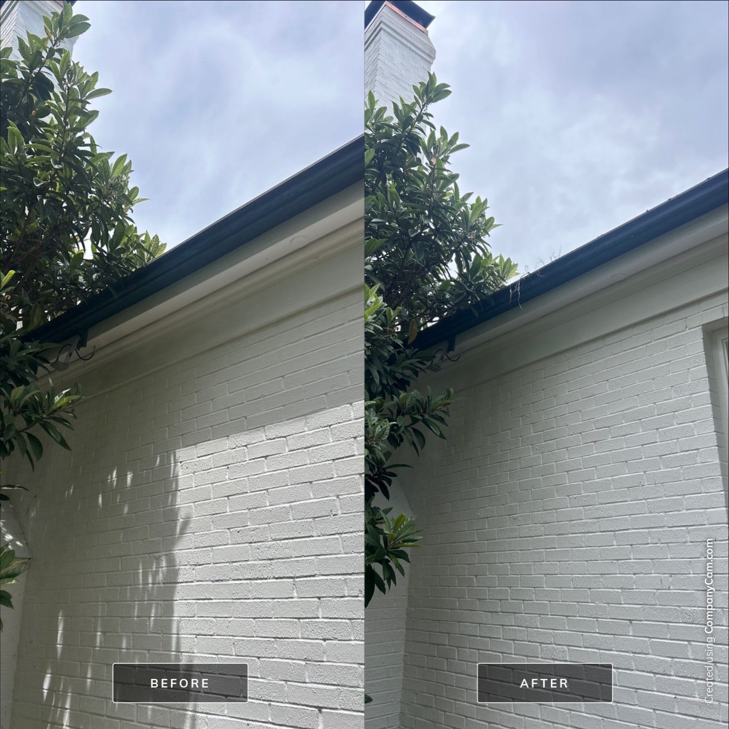 House Washing in Wilmington by Shark Power Washing