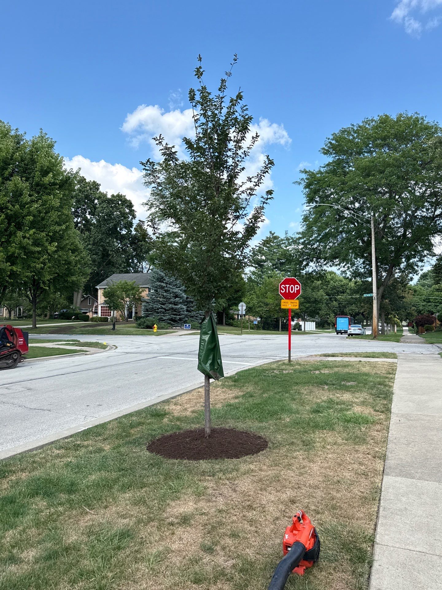 Chris S. - Mount Prospect, IL by A&N