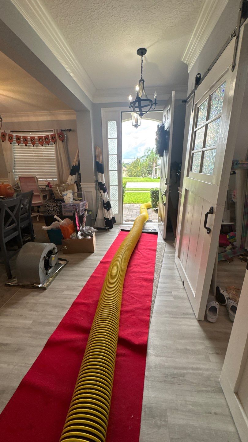 Air Duct and Dryer Vent Cleaning in Clermont by Hygienic Air, Inc