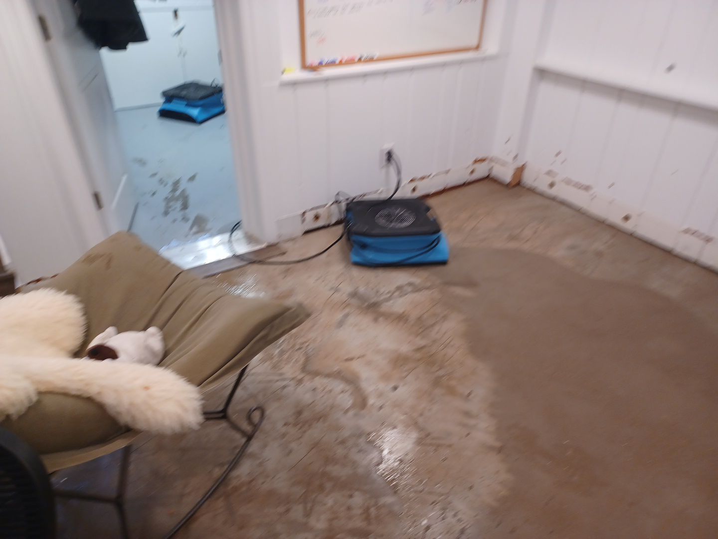 Project in Royal Oak by EzDry Water Mitigation & Property Restoration