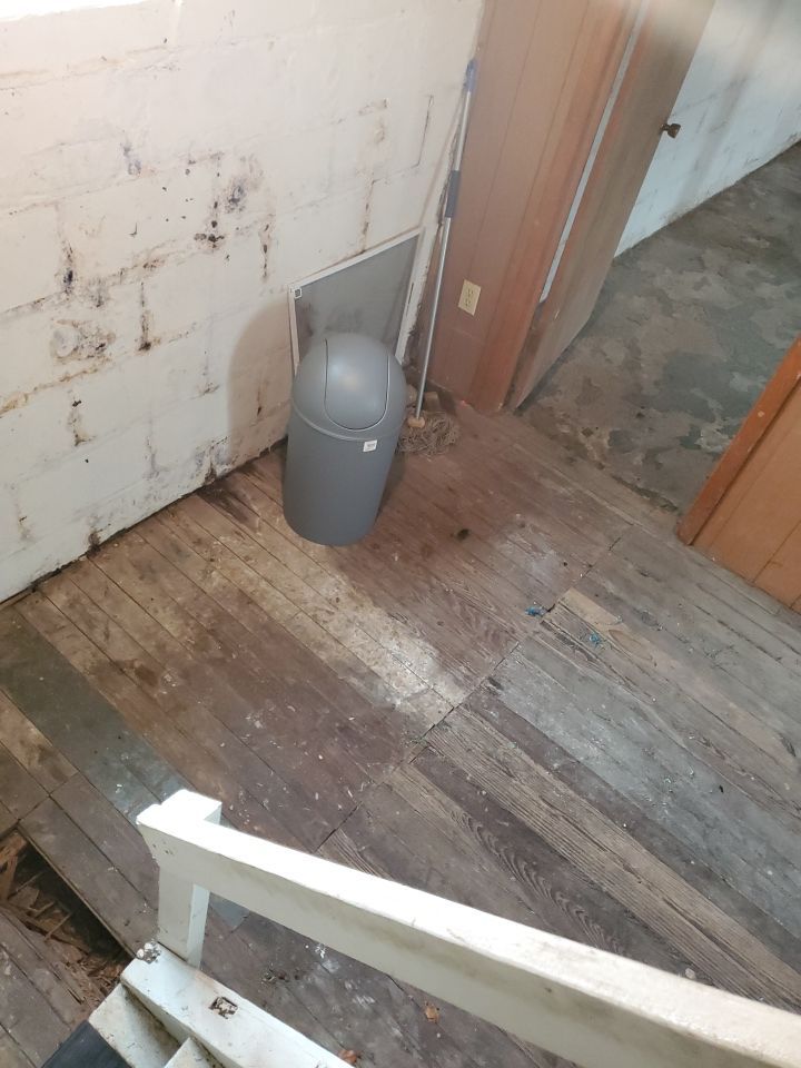 Tree Removal using Tree Removal by Mike Jones & Sons Tree Service LLC 