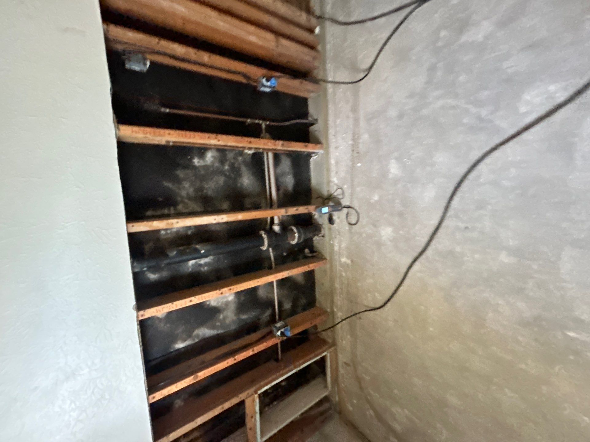 Water Mitigation by Ampm Restoration Services 