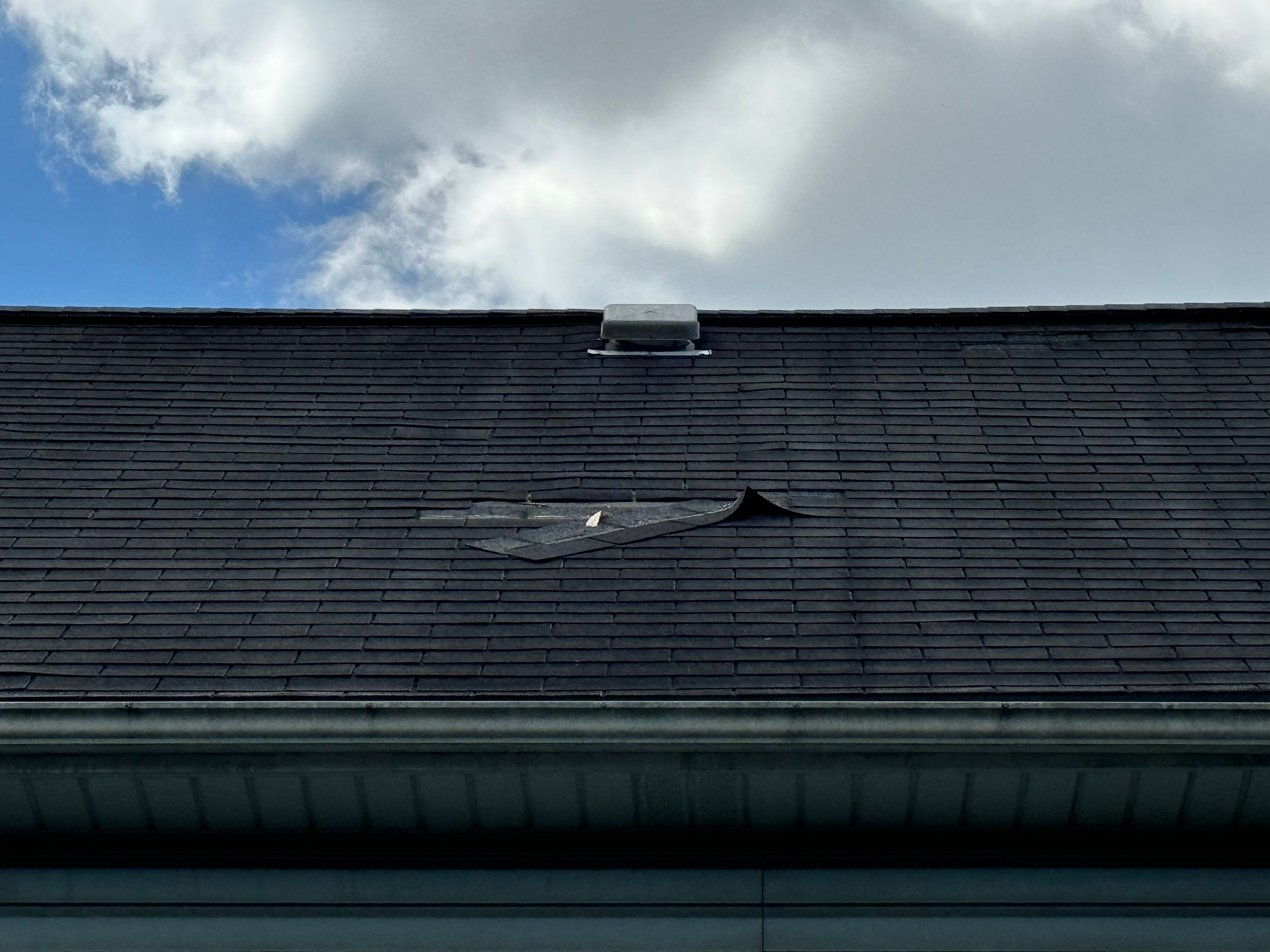 Ray Schaub by Silver Leaf Contracting 