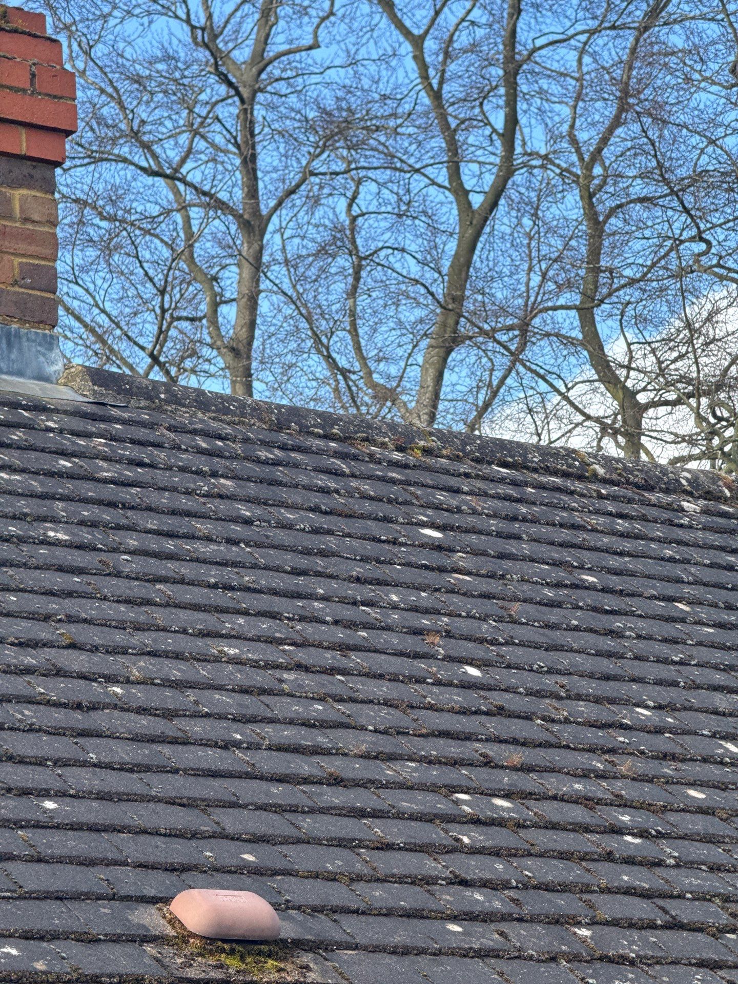 Roof Clean - Moss Removal - Gutter Clean using Honda 15lpm Low Pressure Washing Machine by Ges Exterior Cleaning ltd