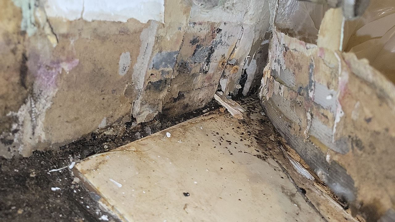 Water Damage by Accountable Home Services