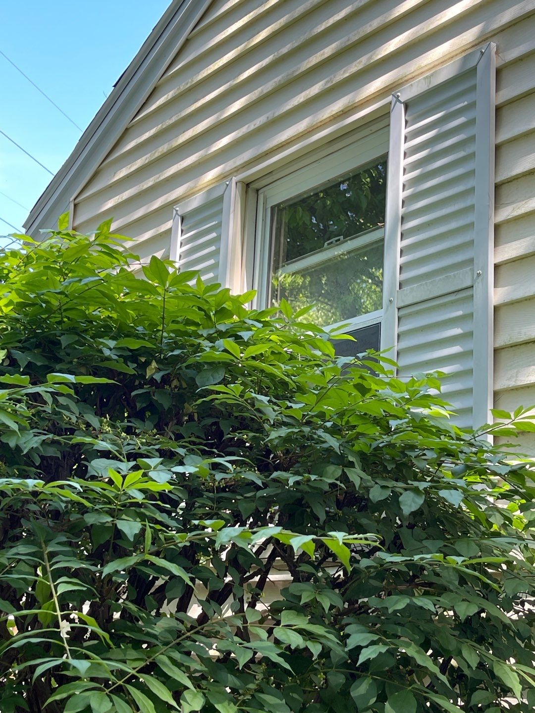 Window Installation using Mezzo Windows by Sensible Home Solutions