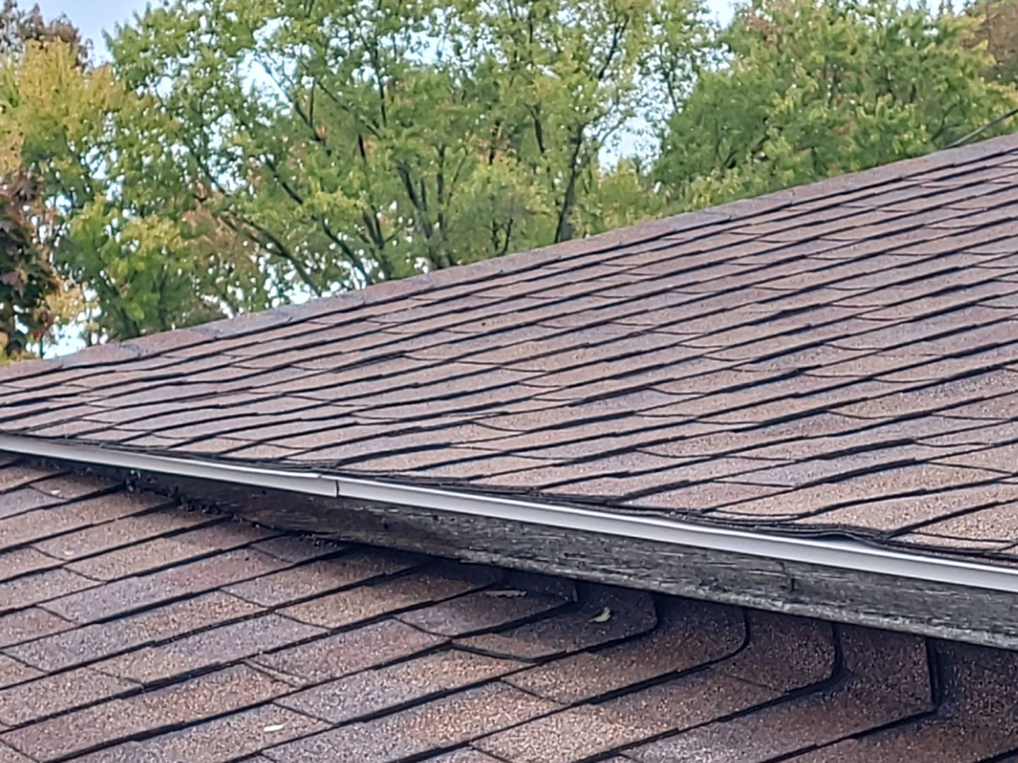 Gary Moles by Silver Leaf Contracting 
