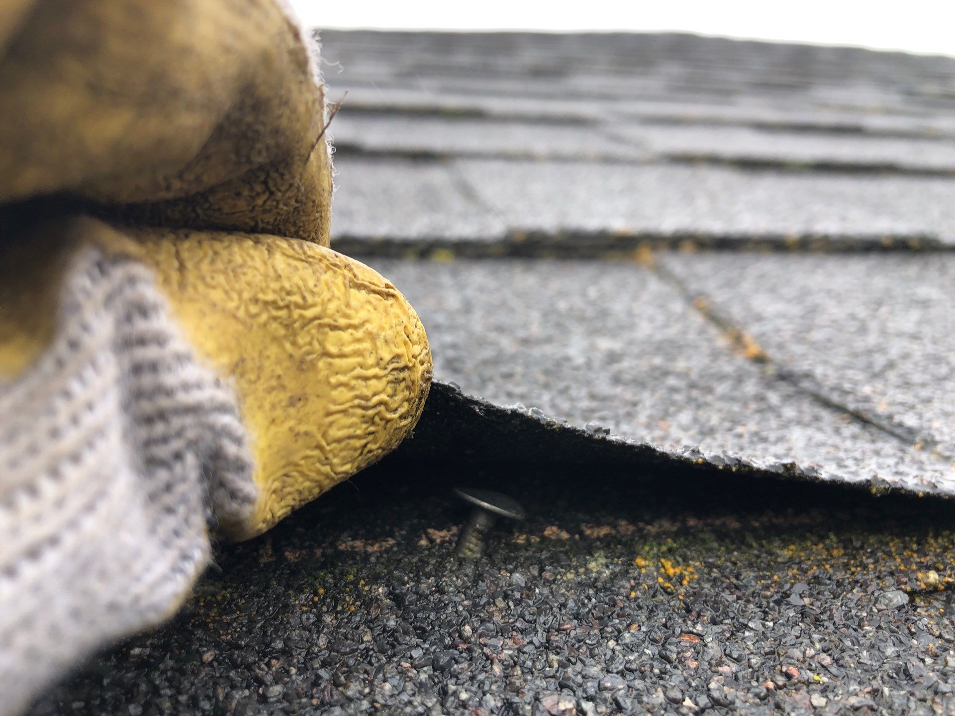 Project in Bellingham by Connolly Construction Company