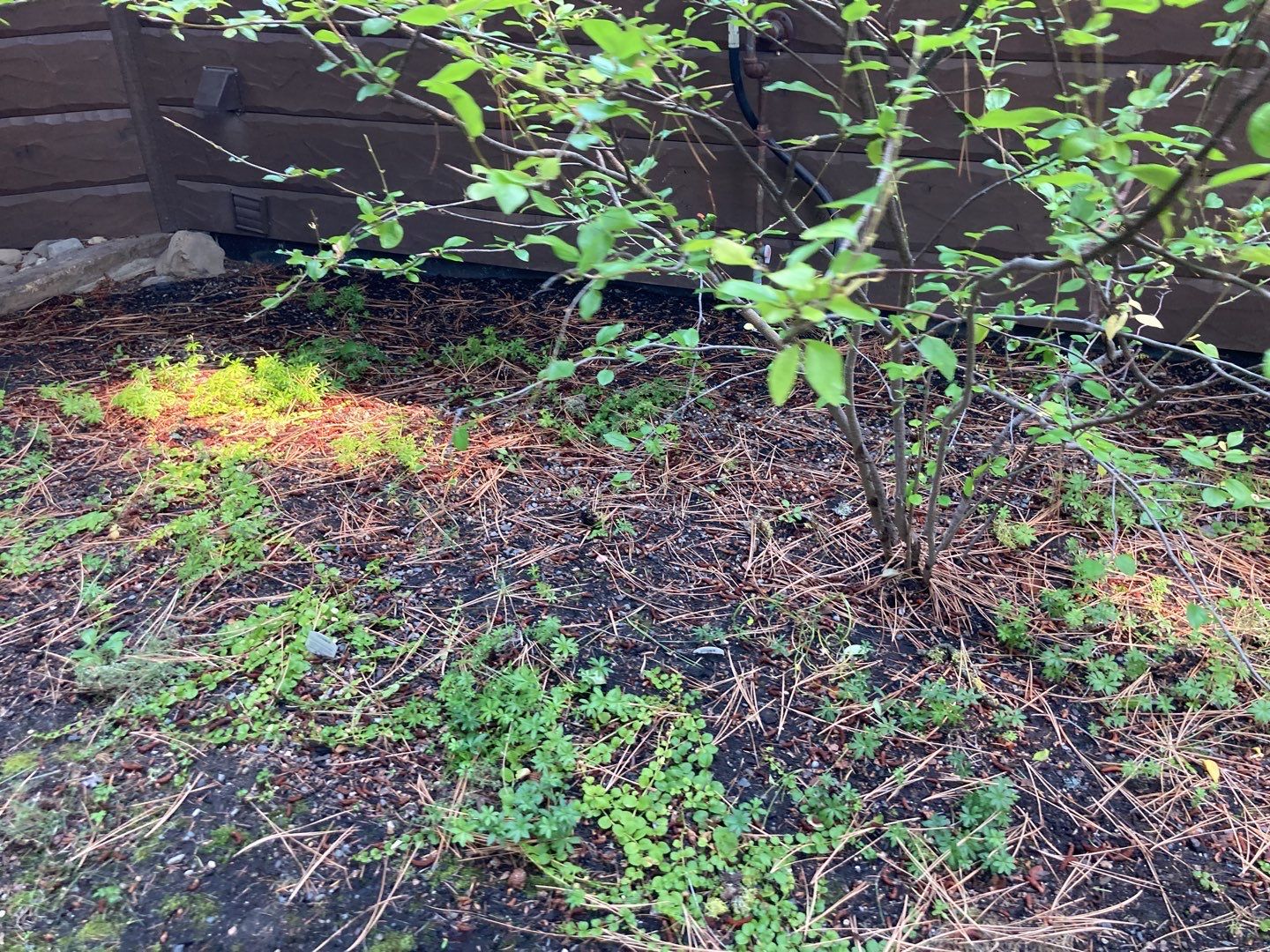 Two story new build gets a CertainTeed Landmark roof in Shenandoah  by ID Roofing LLC