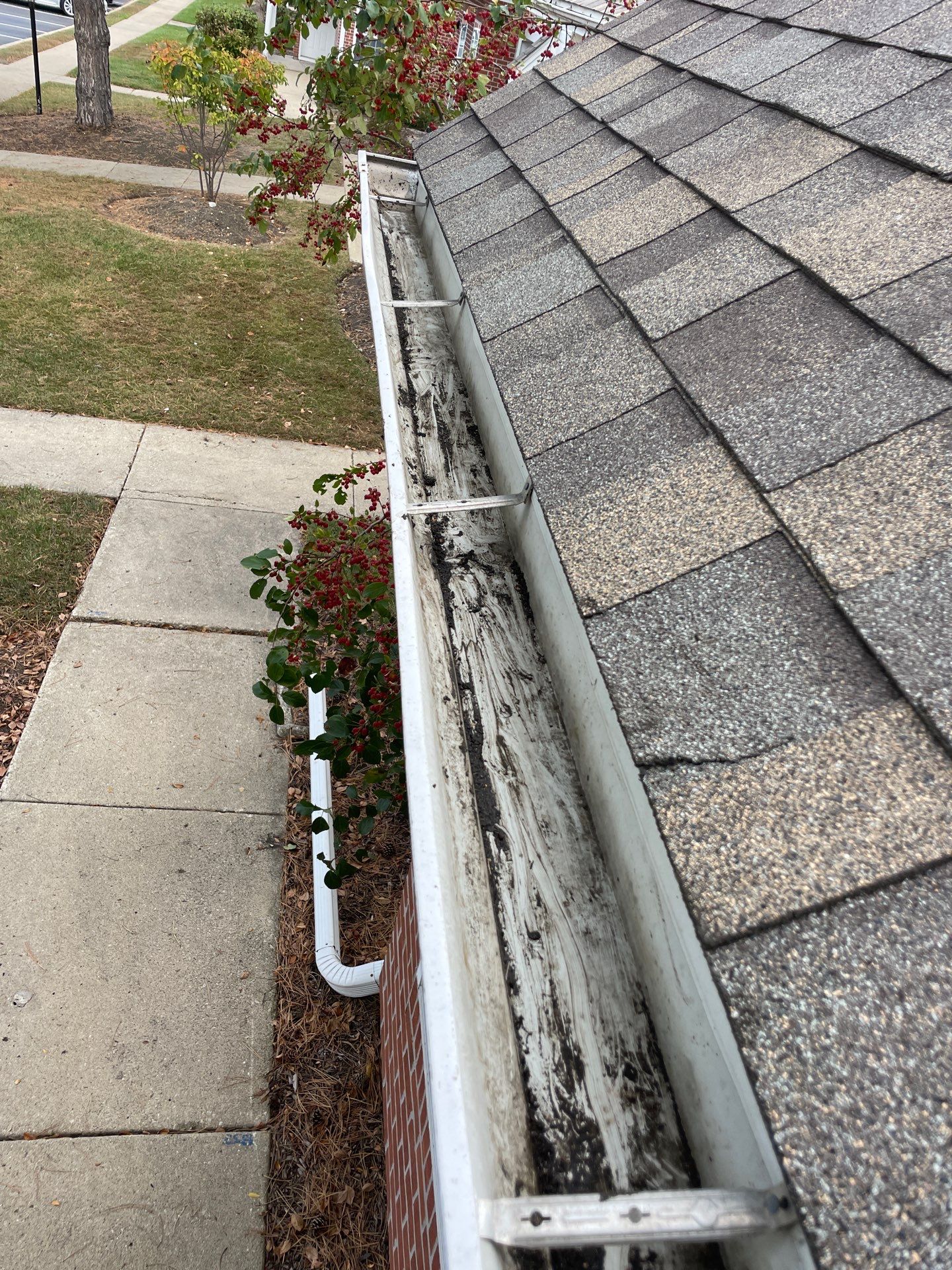 Commercial gutter cleaning Schaumburg & Hoffman Estates, IL	 after photo with clean gutters
