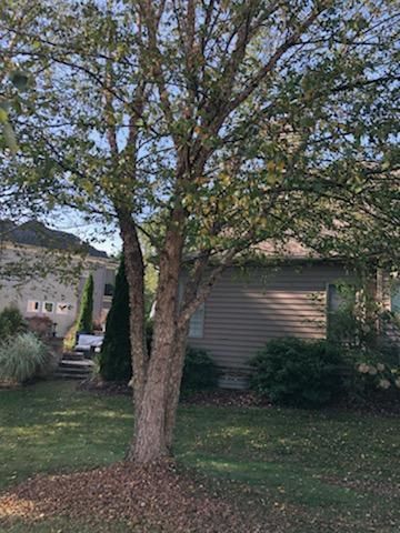 Tree Removal using Tree Removal by Mike Jones & Sons Tree Service LLC 