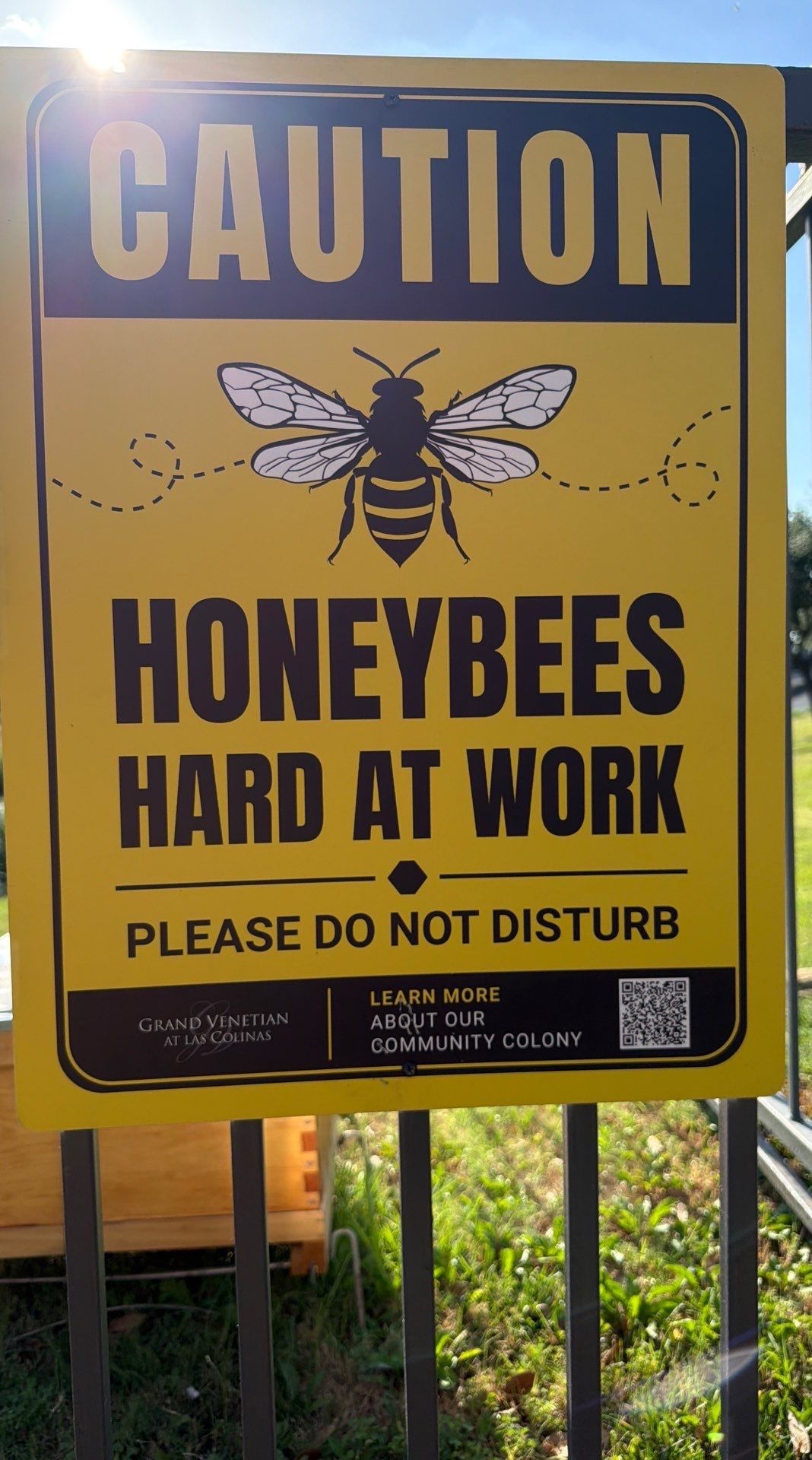 Poolside Bees at Apartment Complex by Rockwall Honey Bee Company