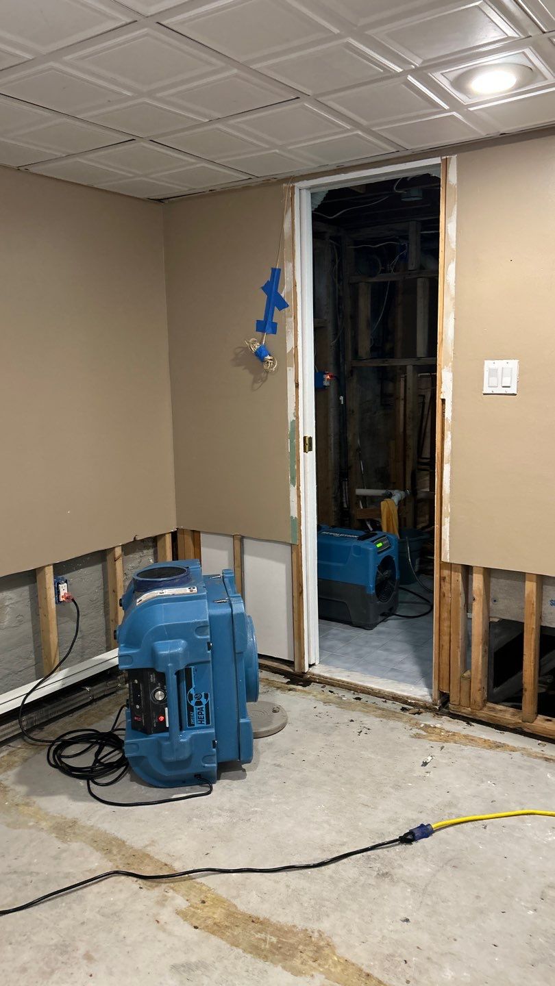 Mold Remediation in Bethpage NY by long island mold guy
