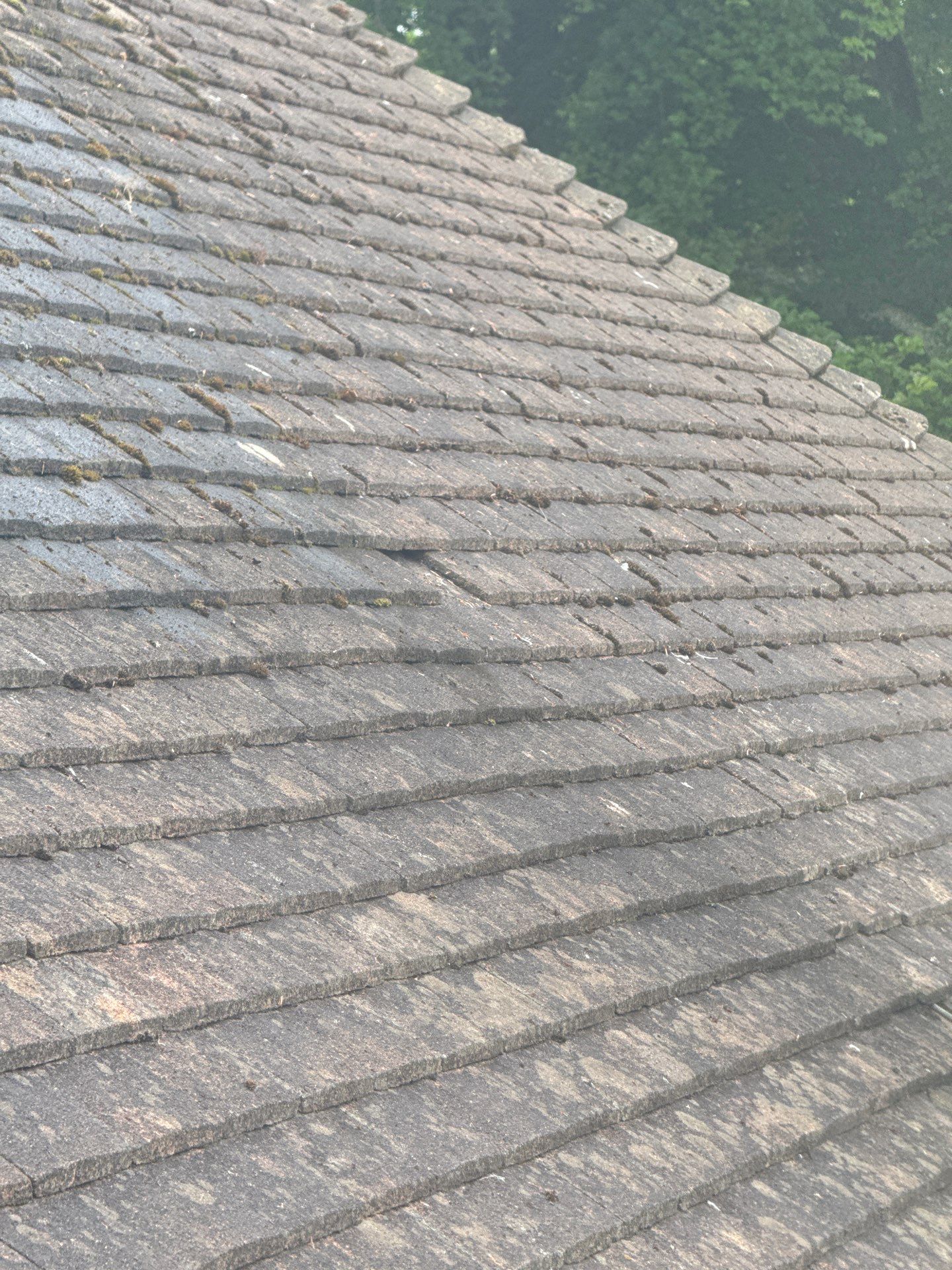 Roof Clean and Biocide Treatment using Honda 15lpm Low Pressure Washing Machine by Ges Exterior Cleaning ltd