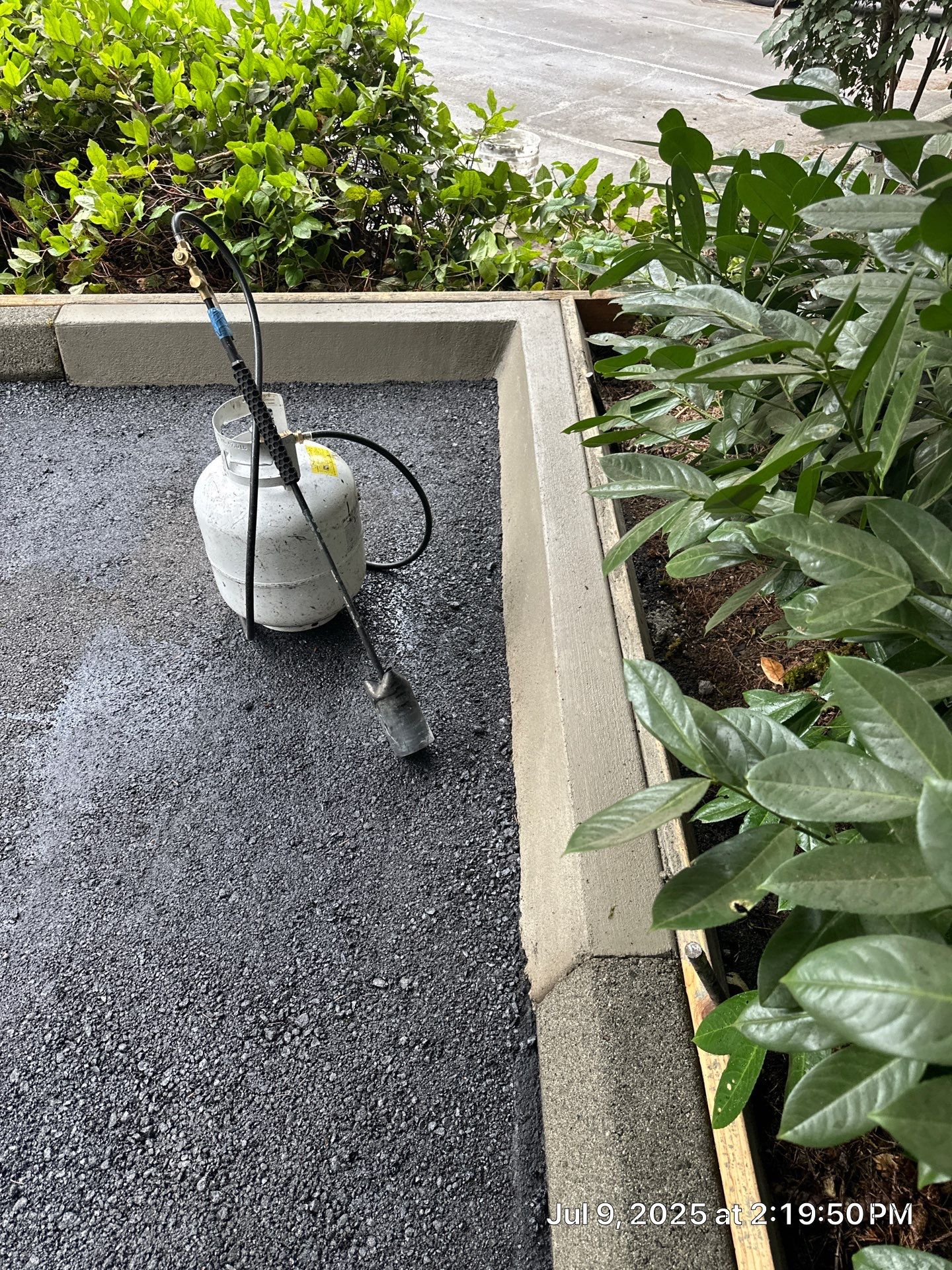 Curb Repaint | Seattle  by Jireh Asphalt & Concrete Inc 