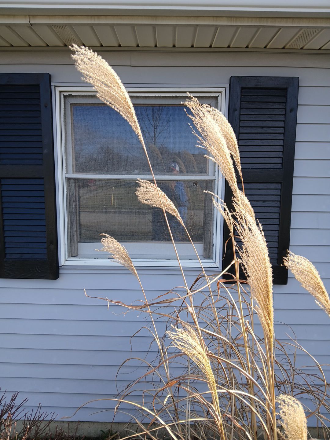 Woodburn - Indiana - 7 Window Project by Window World Of Fort Wayne