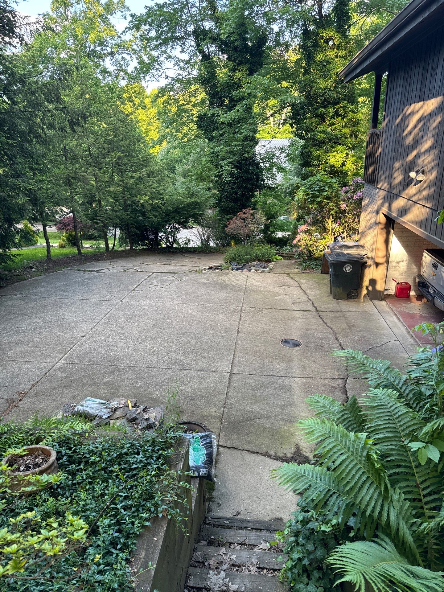 Tree Trimming using Tree Pruing by Mike Jones & Sons Tree Service LLC 