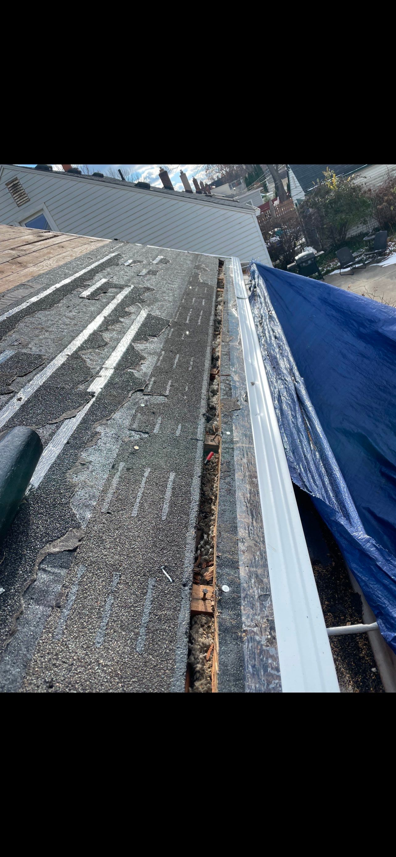 Project in Royal Oak by Eave Roofing
