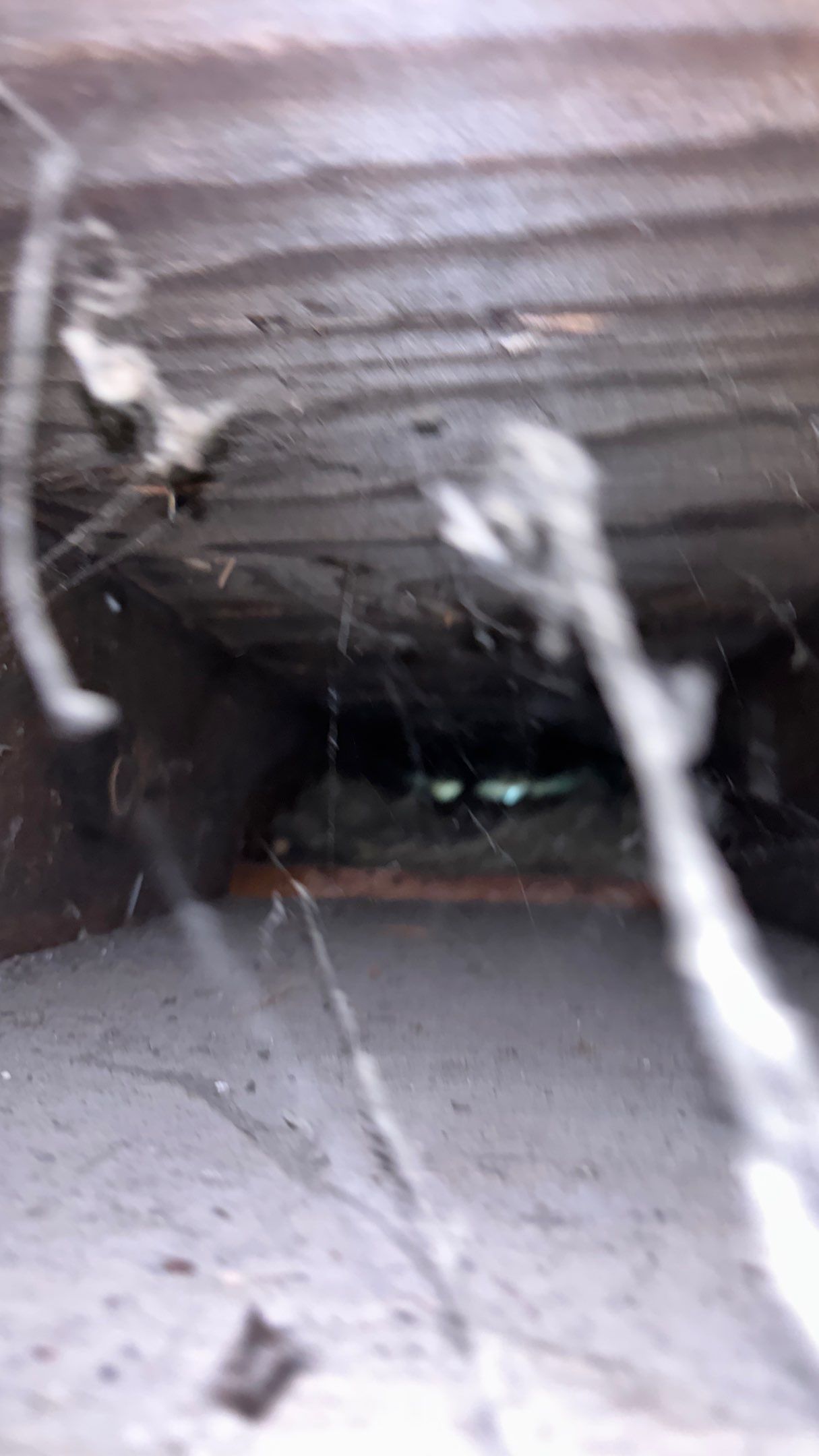 Roof Replacement using Owens Corning Driftwood by 180 Contractors