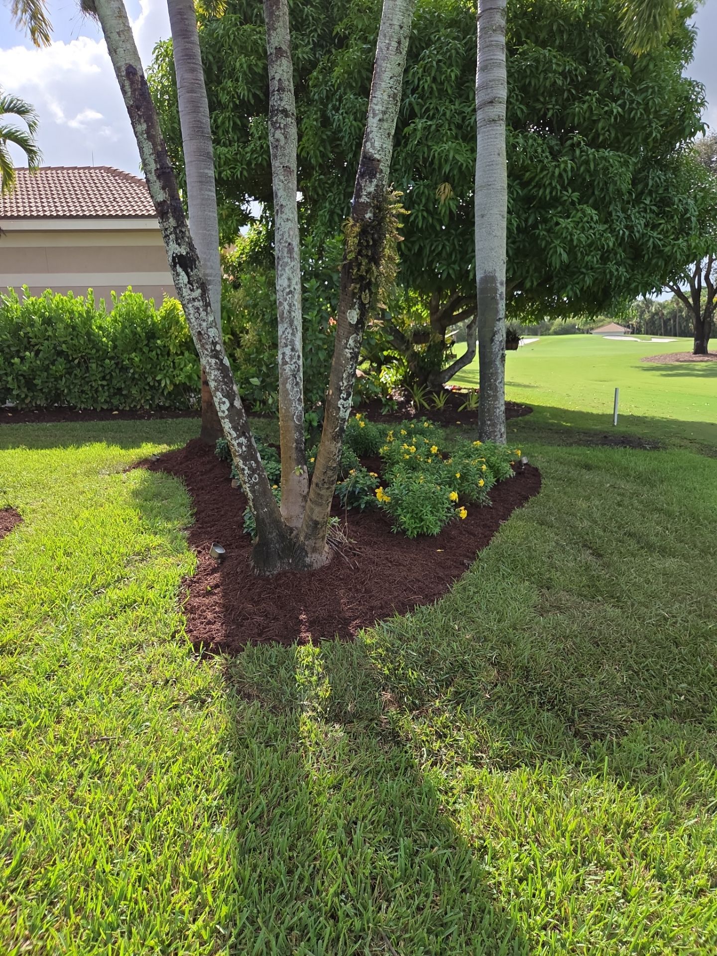 Palm City Revival at Pipers Landing by Alpha Zeta Enterprises Inc
