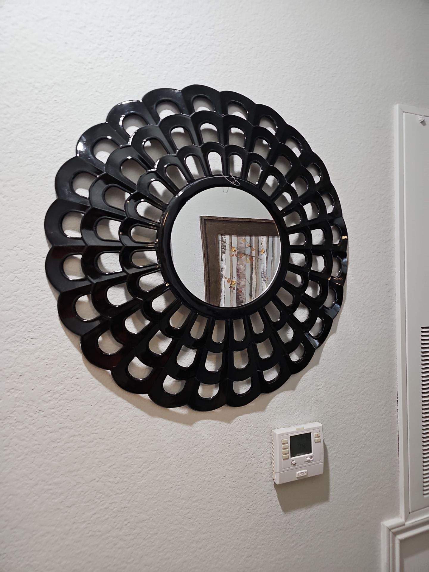 Art & Mirror Hanging Projects by Hangman Mounting & Installation 
