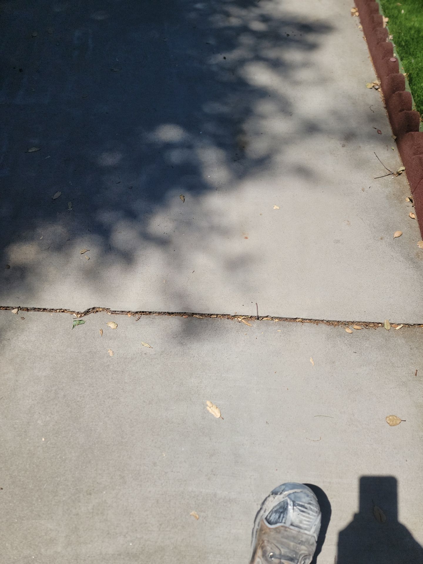 Pecan Concrete Coating for Atascadero Porch and Walkways by MGP Coatings