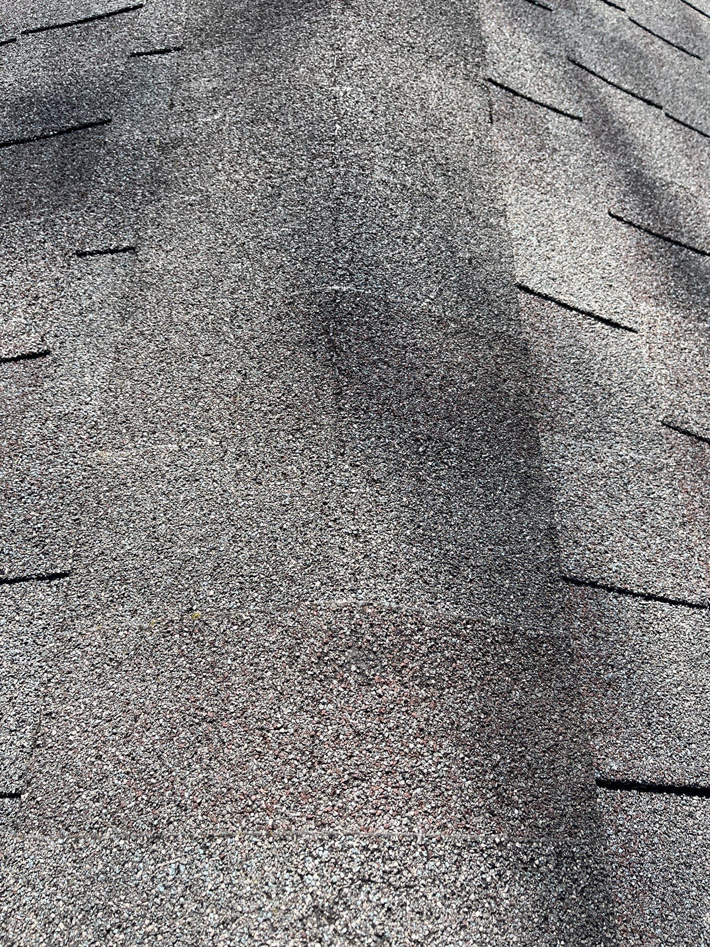 Roof Replacement using Owens Corning Summer Harvest by 180 Contractors